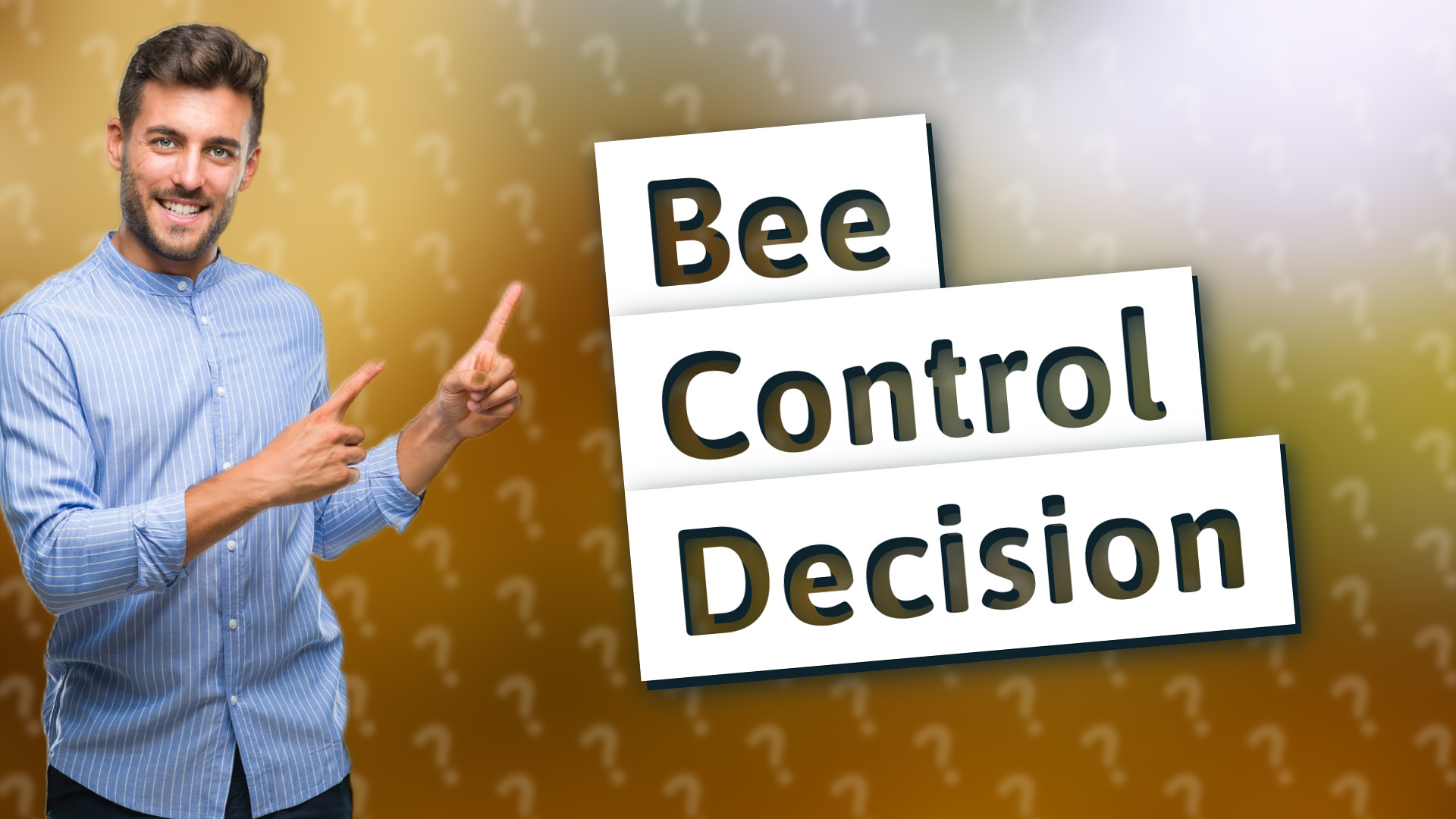 Bee Control Decision