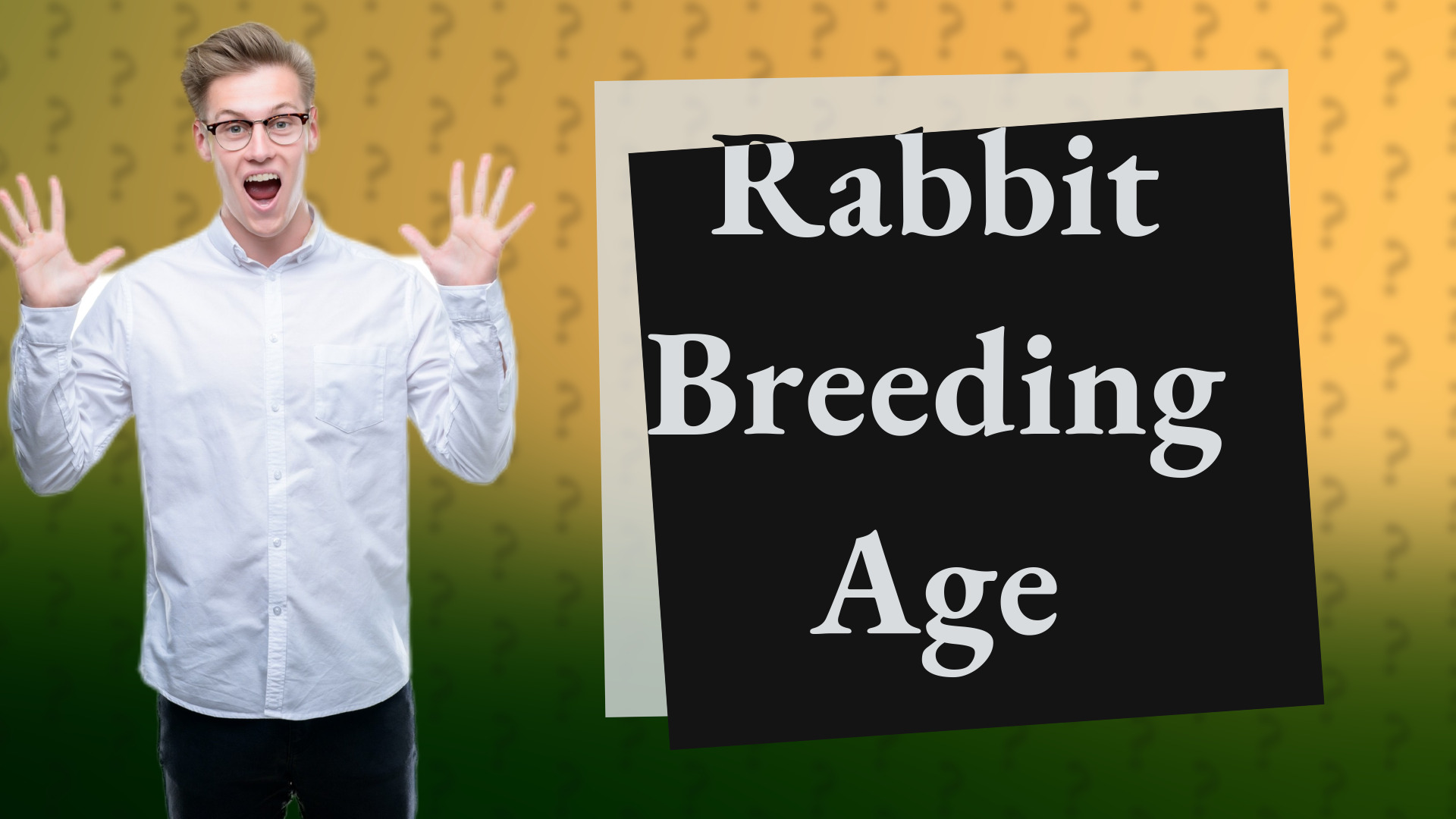 Rabbit Breeding Age