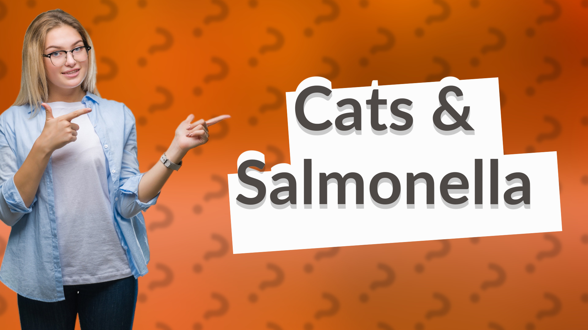 Cats & Salmonella