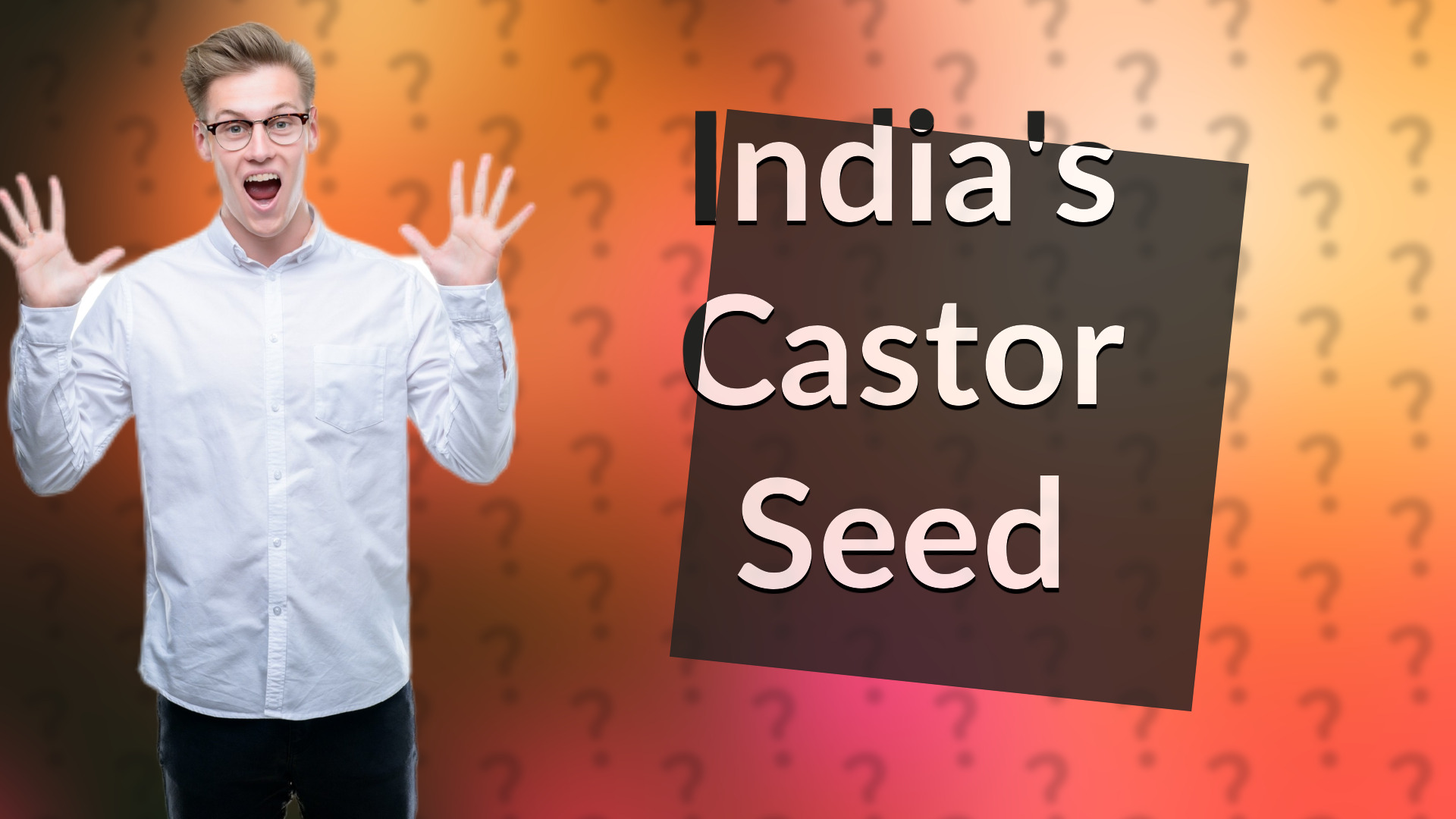 India's Castor Seed