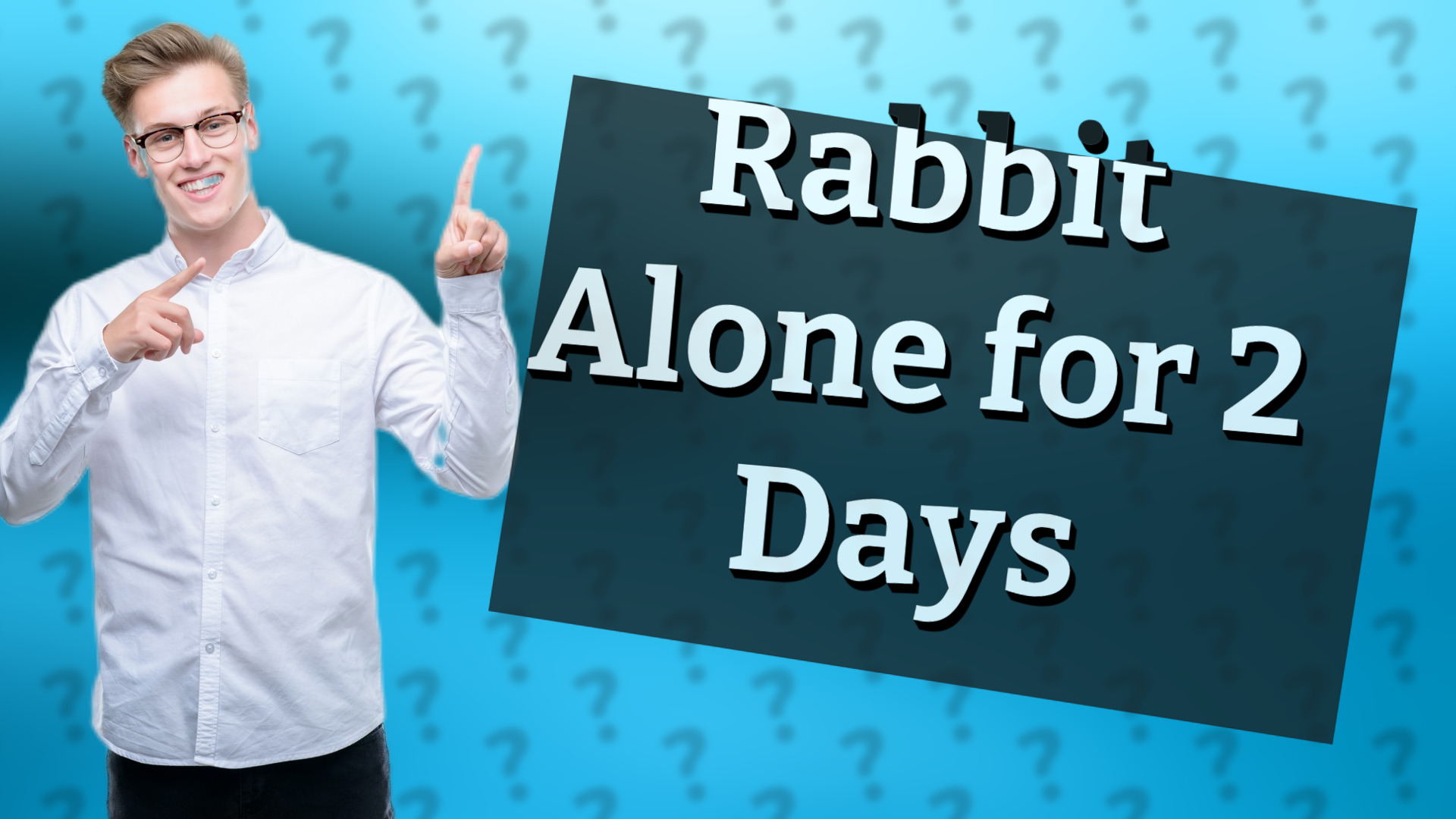 Rabbit Alone for 2 Days