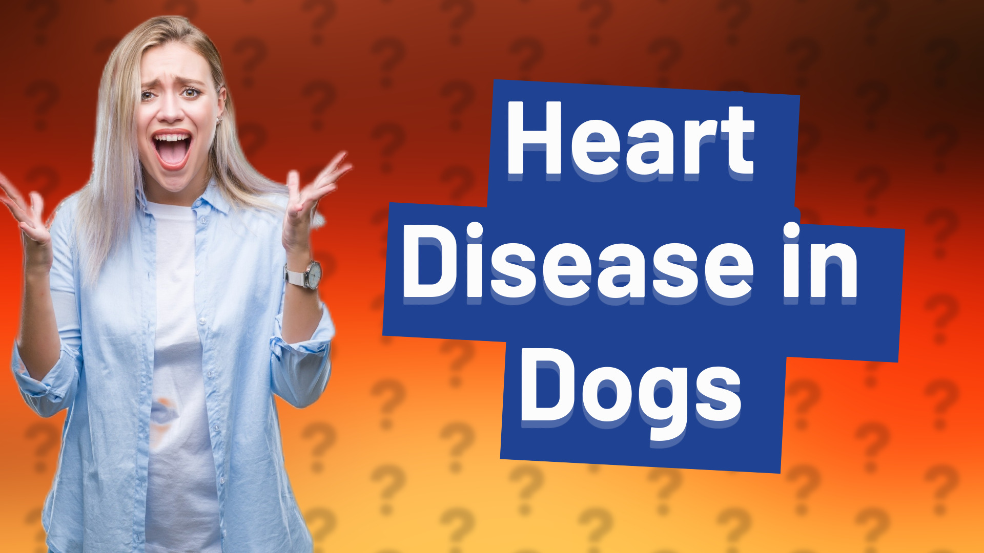 Heart Disease in Dogs