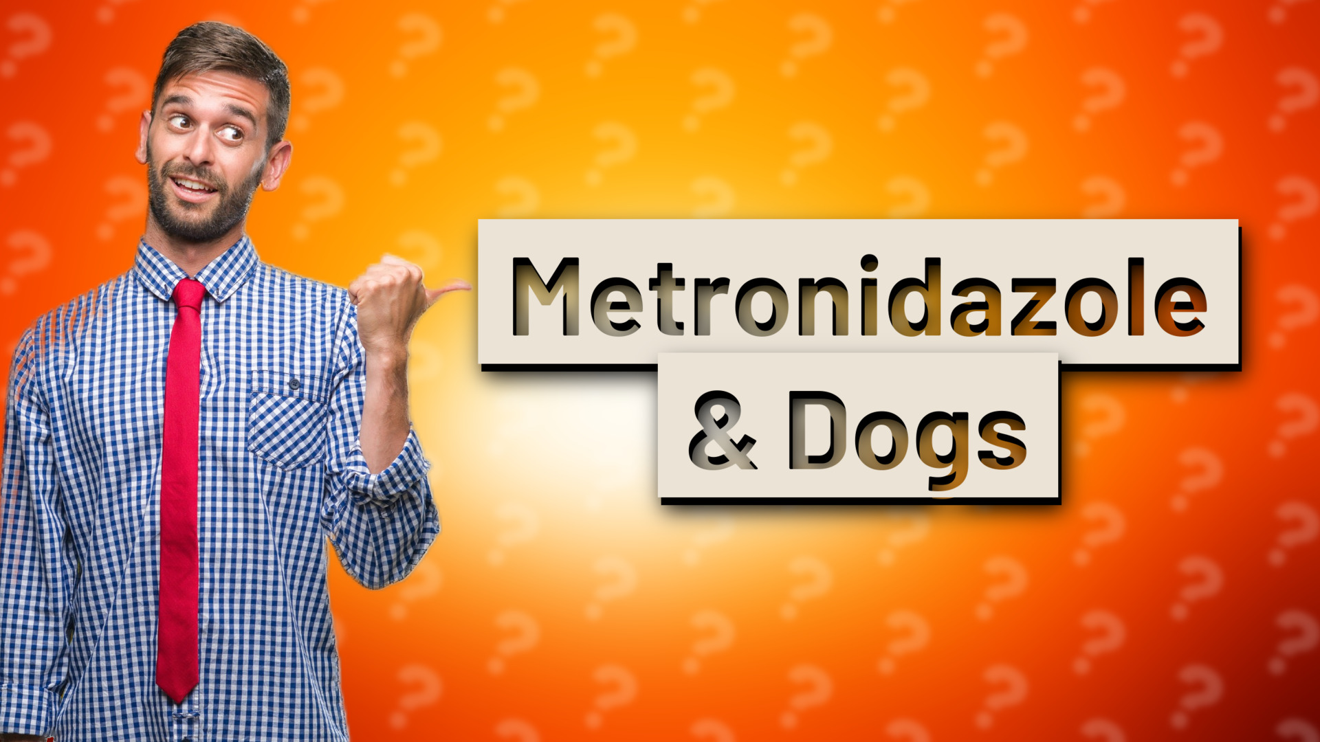 Metronidazole & Dogs