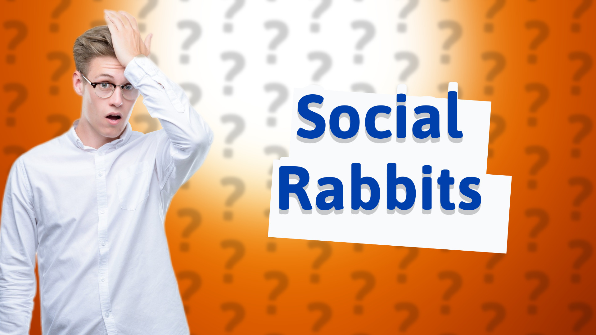 Social Rabbits