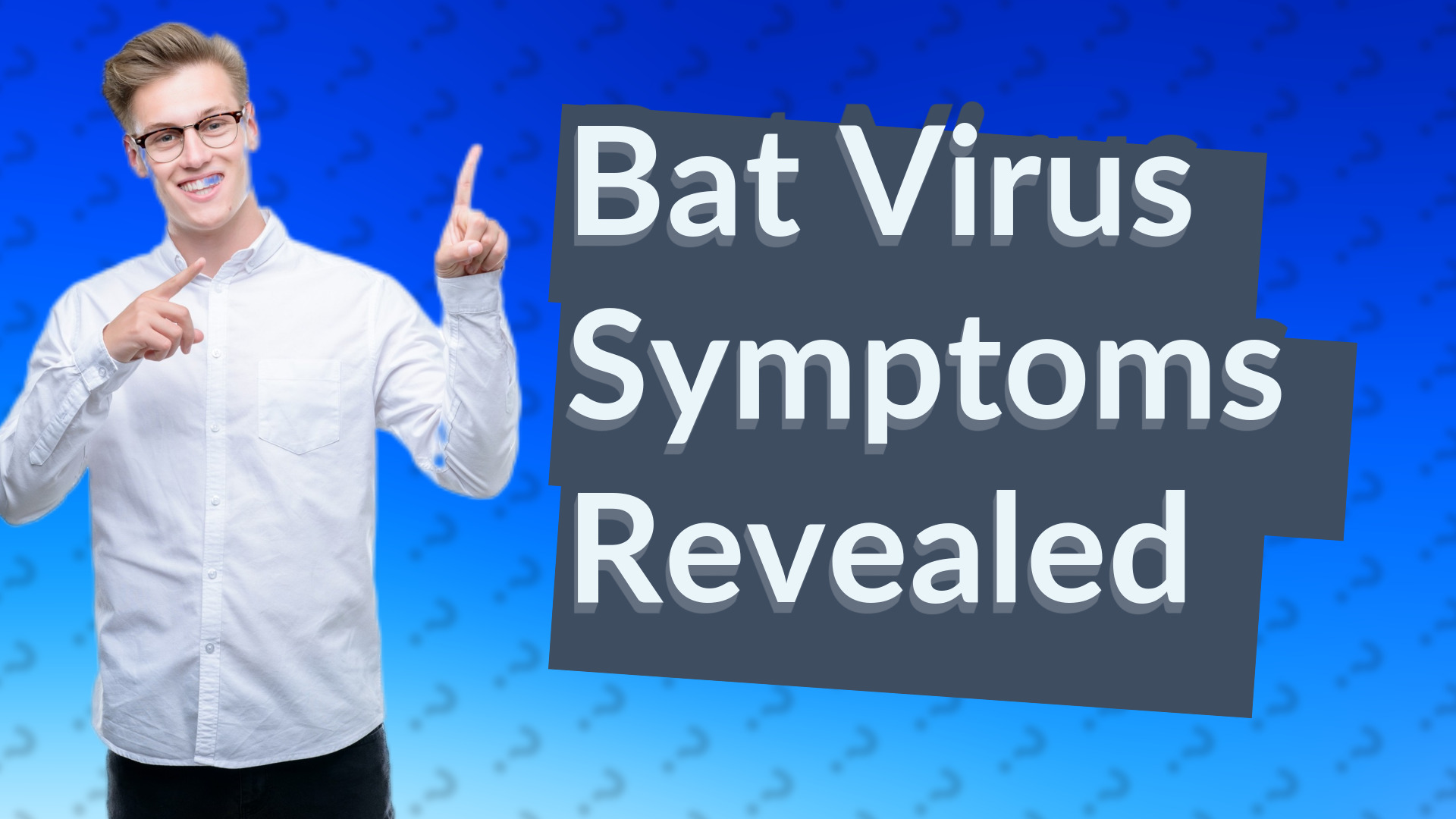 Bat Virus Symptoms Revealed