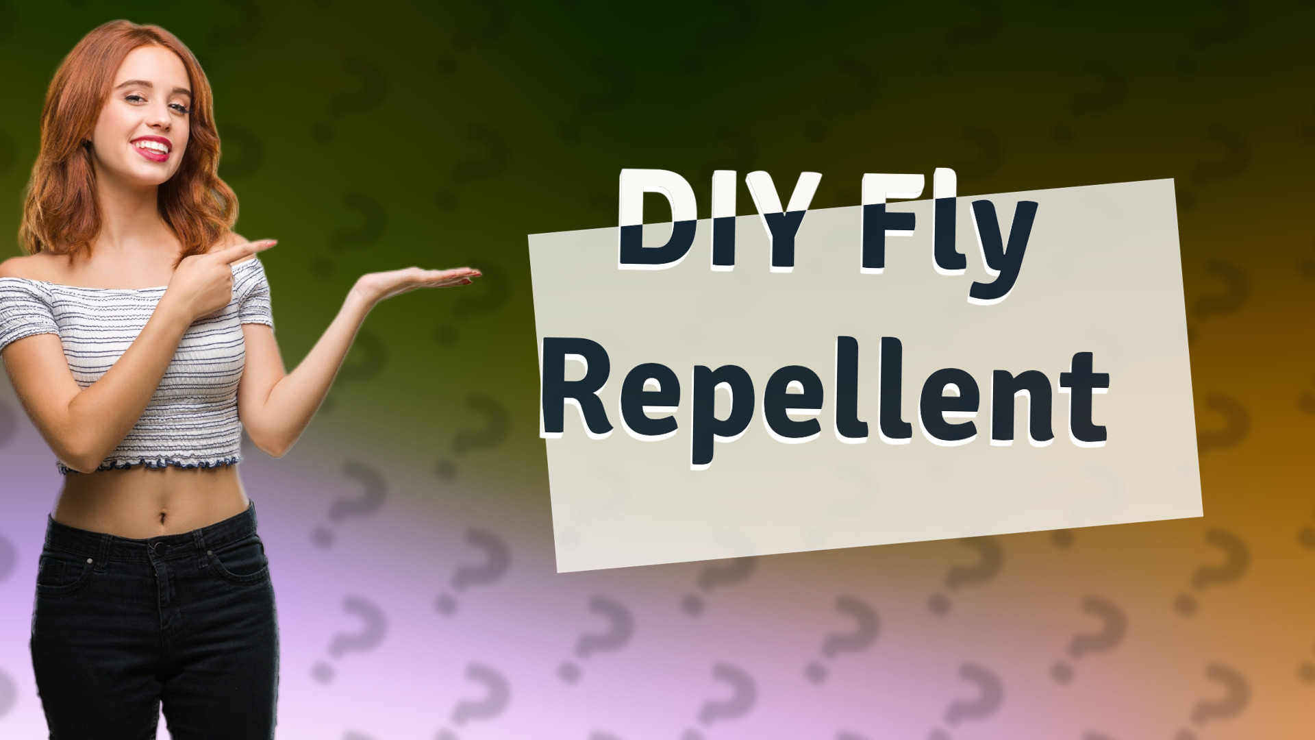 DIY Fly Repellent