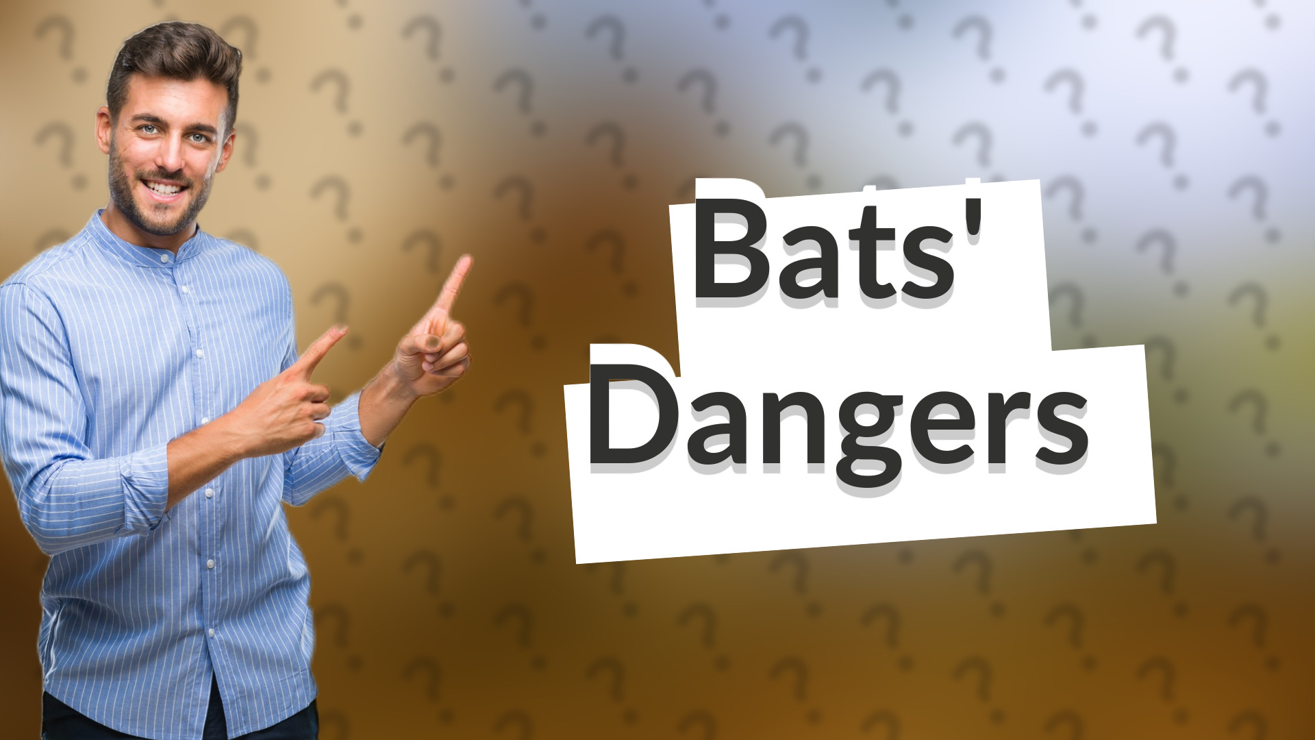 Bats' Dangers
