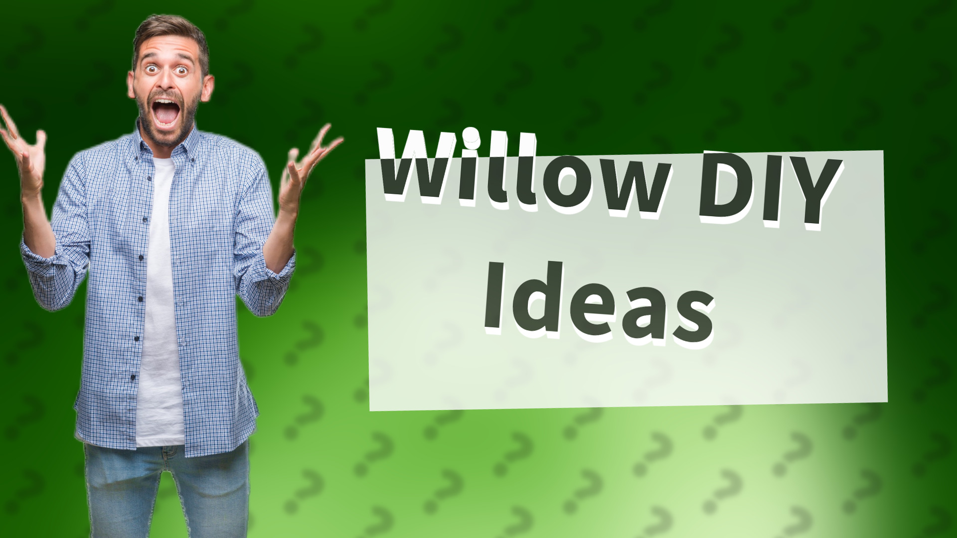 Willow DIY Ideas