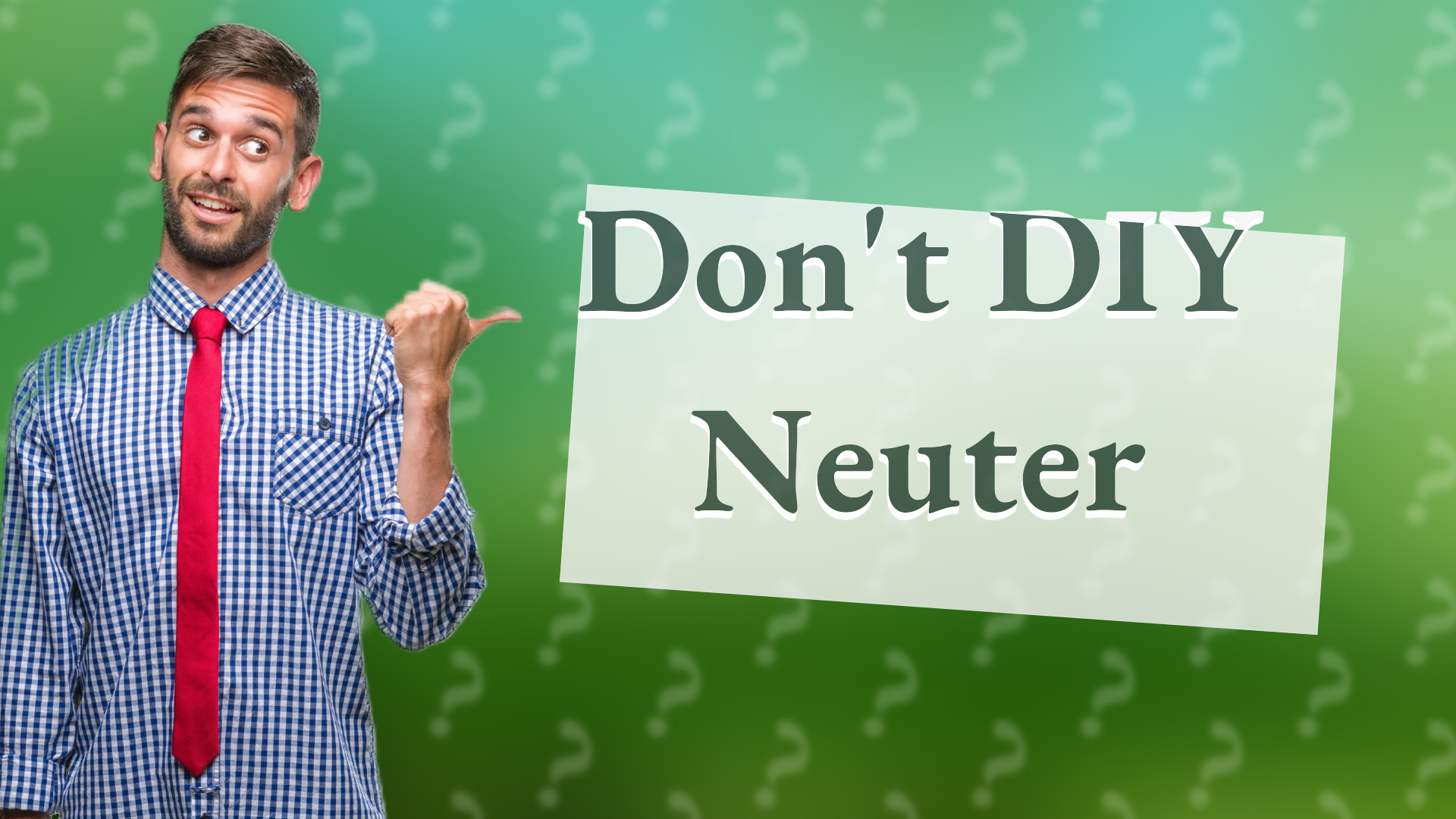 Don't DIY Neuter