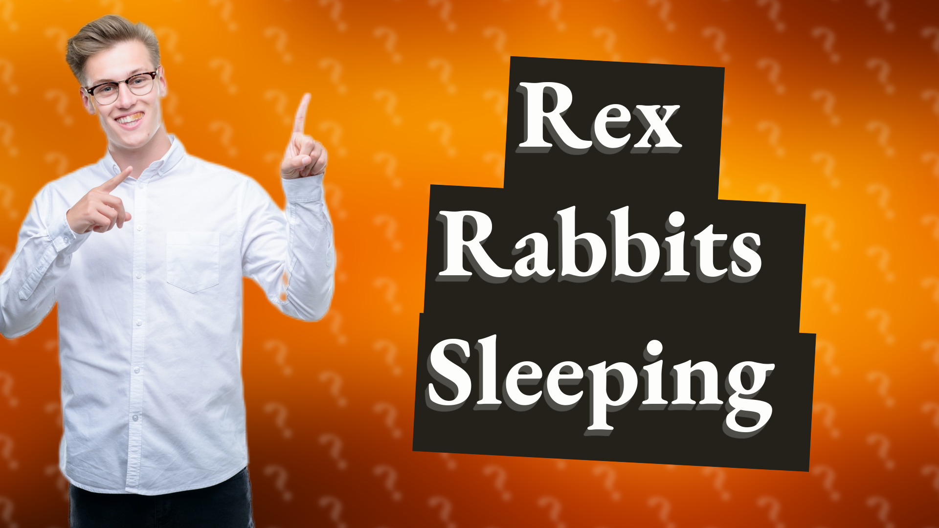 Rex Rabbits Sleeping