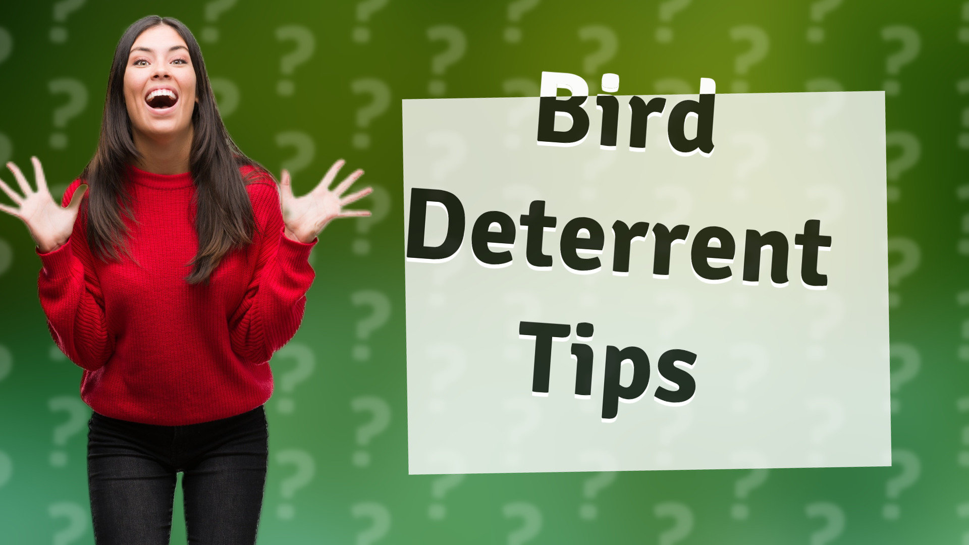 Bird Deterrent Tips