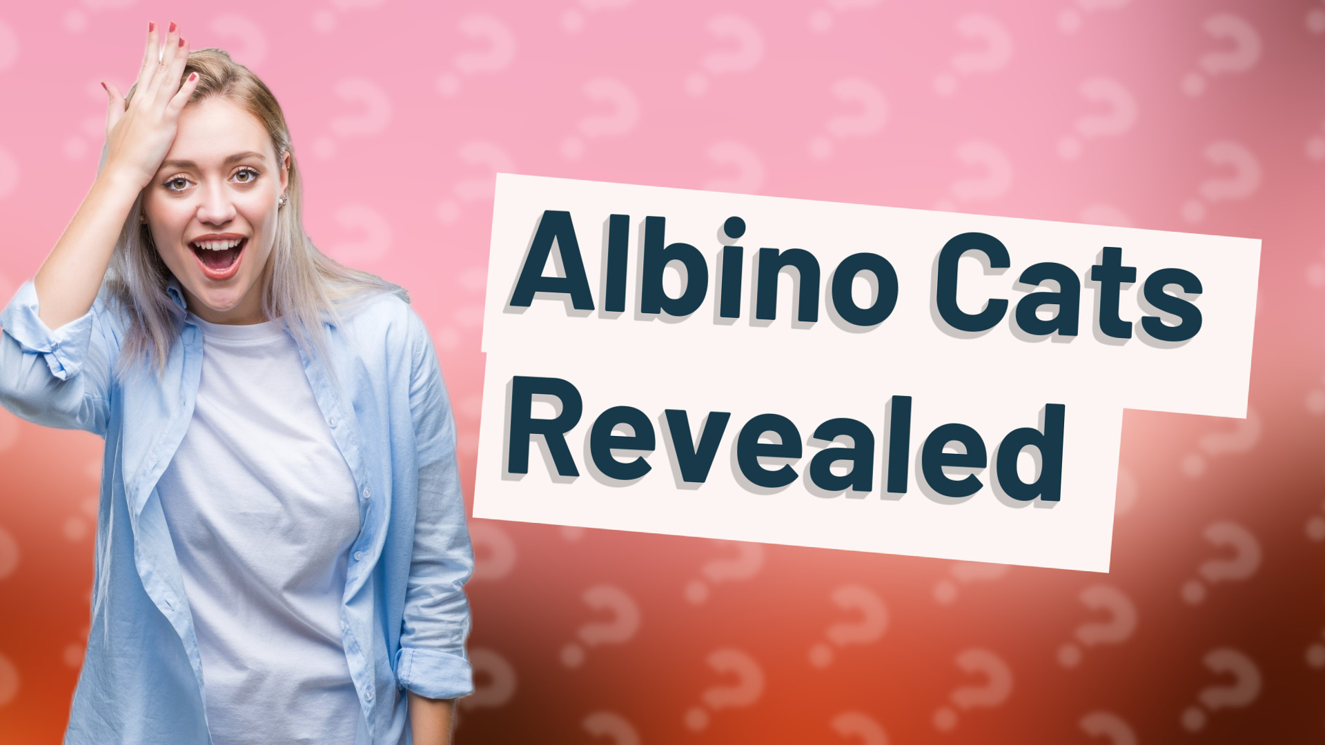 Albino Cats Revealed