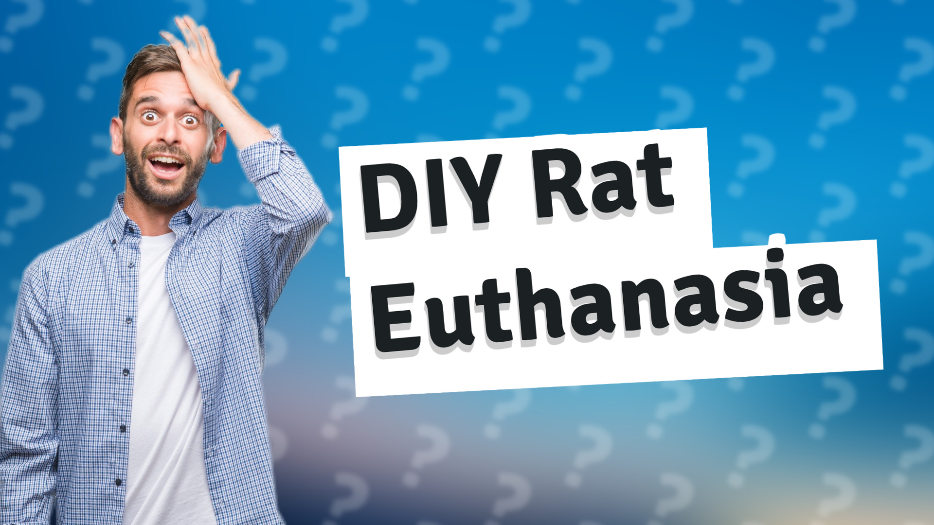 DIY Rat Euthanasia