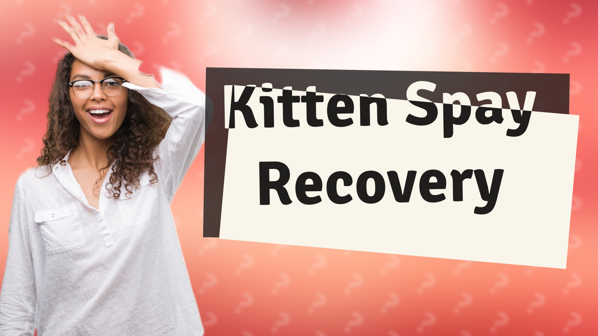 Kitten Spay Recovery