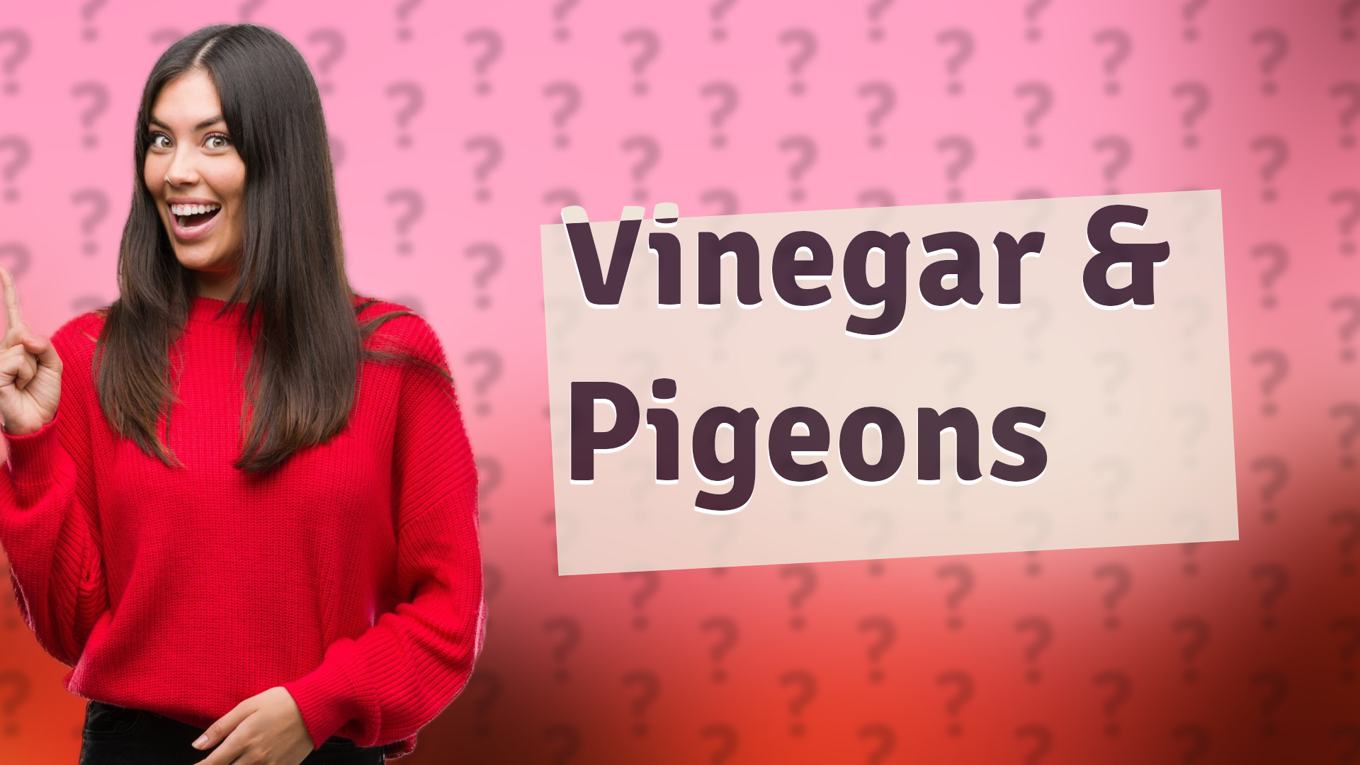 Vinegar & Pigeons