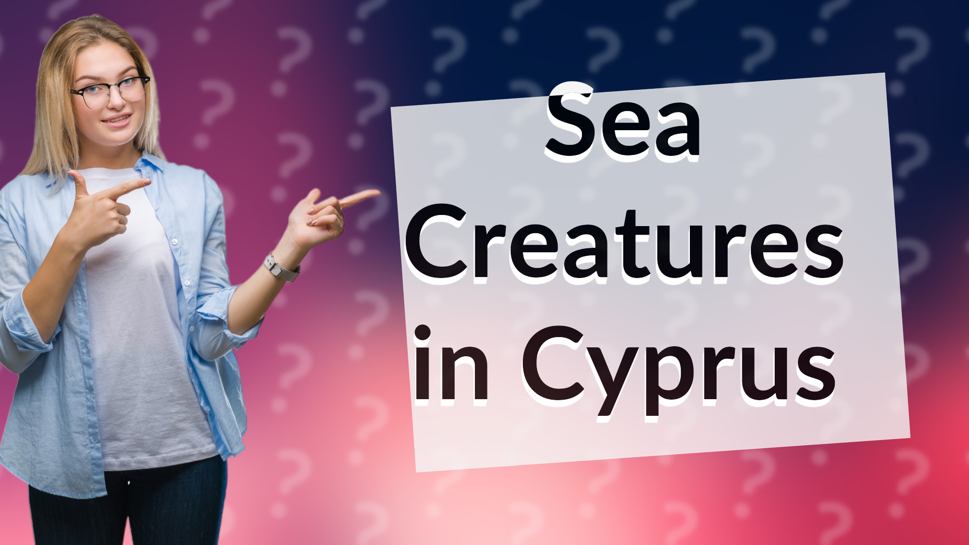 Sea Creatures in Cyprus