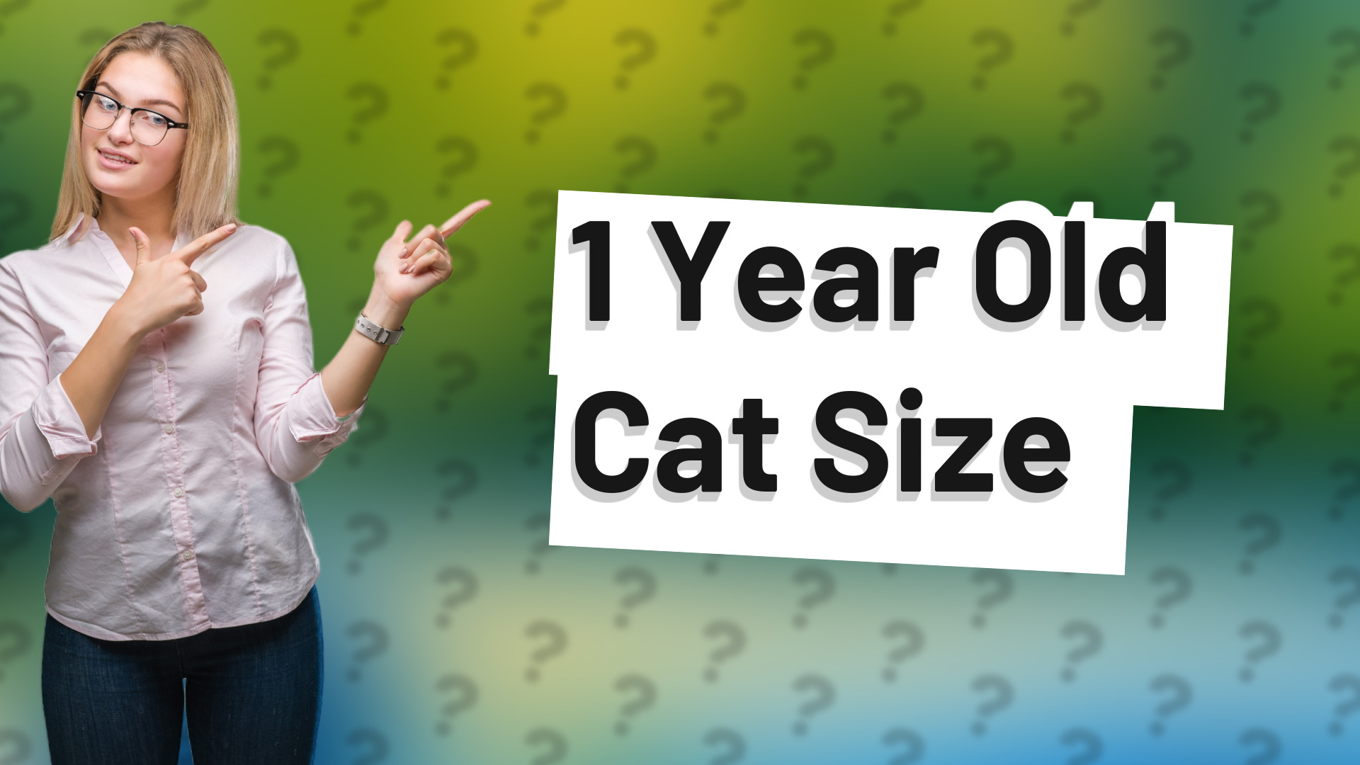 1 Year Old Cat Size