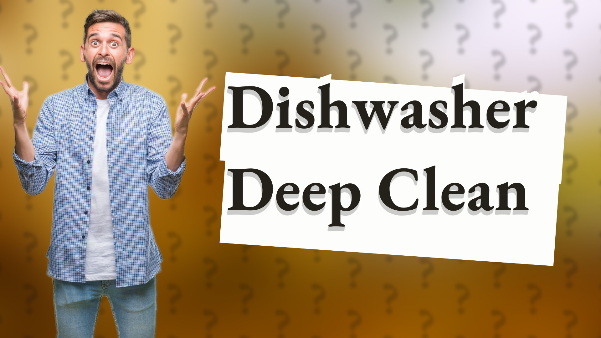 Dishwasher Deep Clean