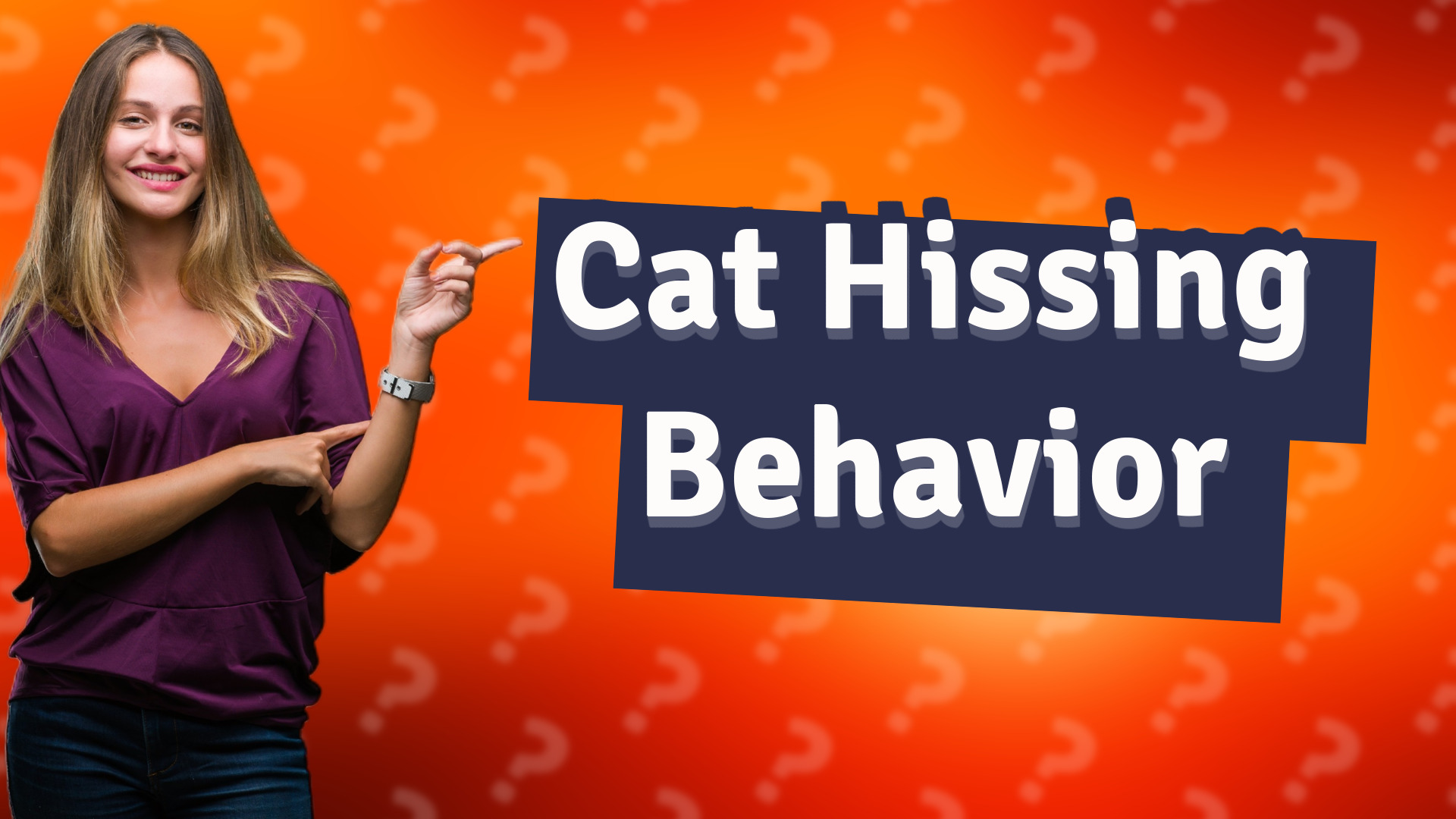 Cat Hissing Behavior