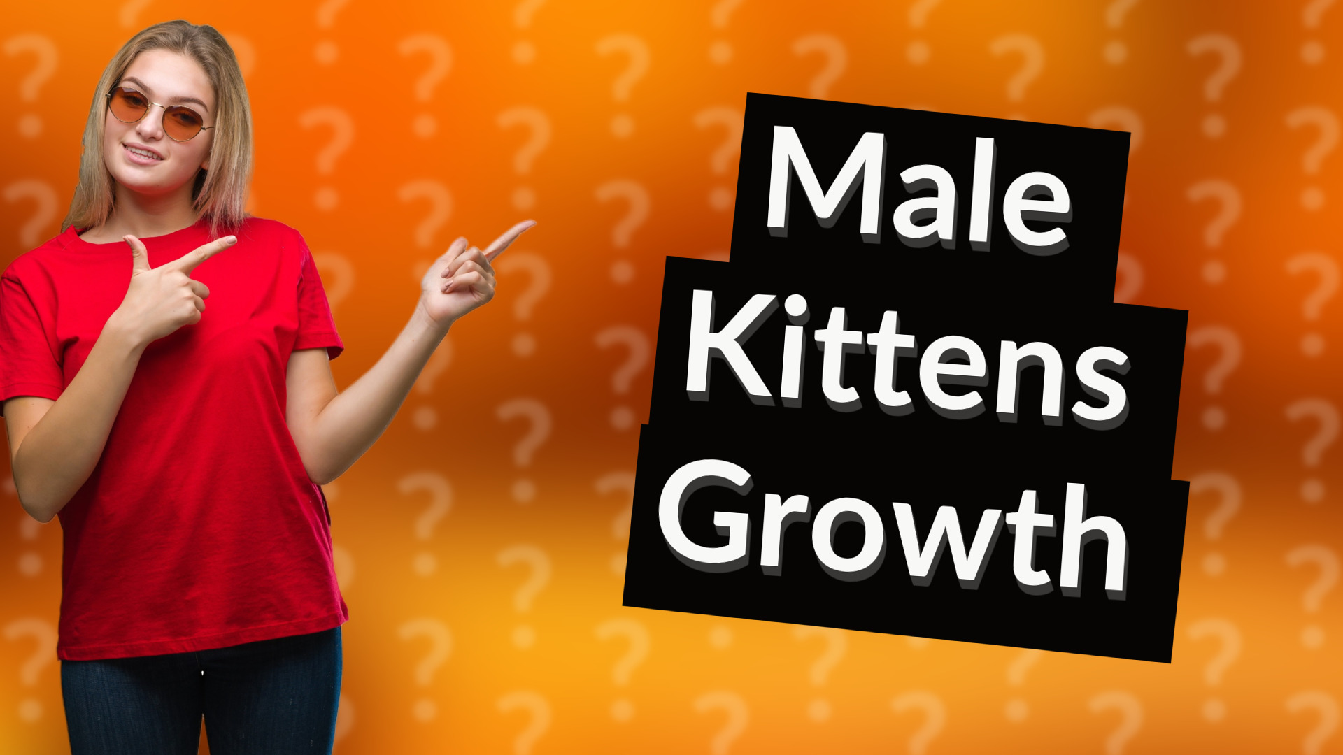 Male Kittens Growth