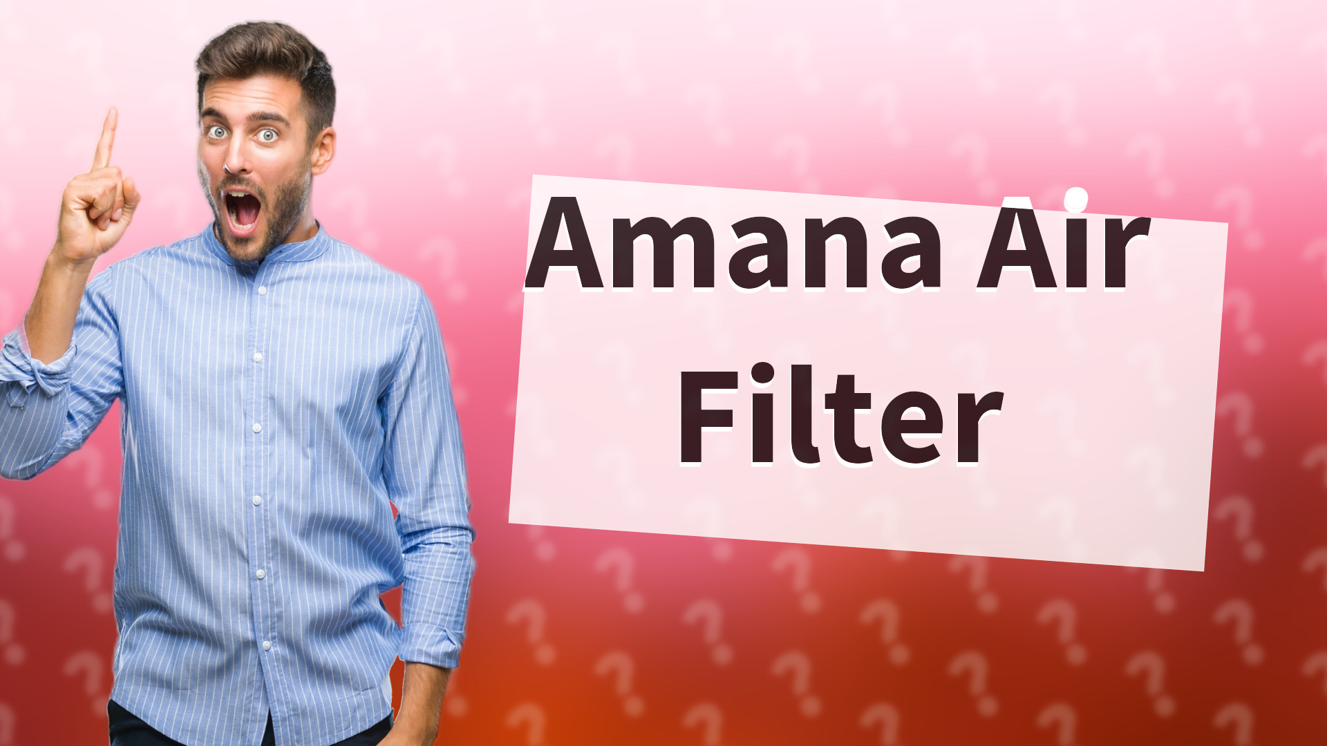 Amana Air Filter