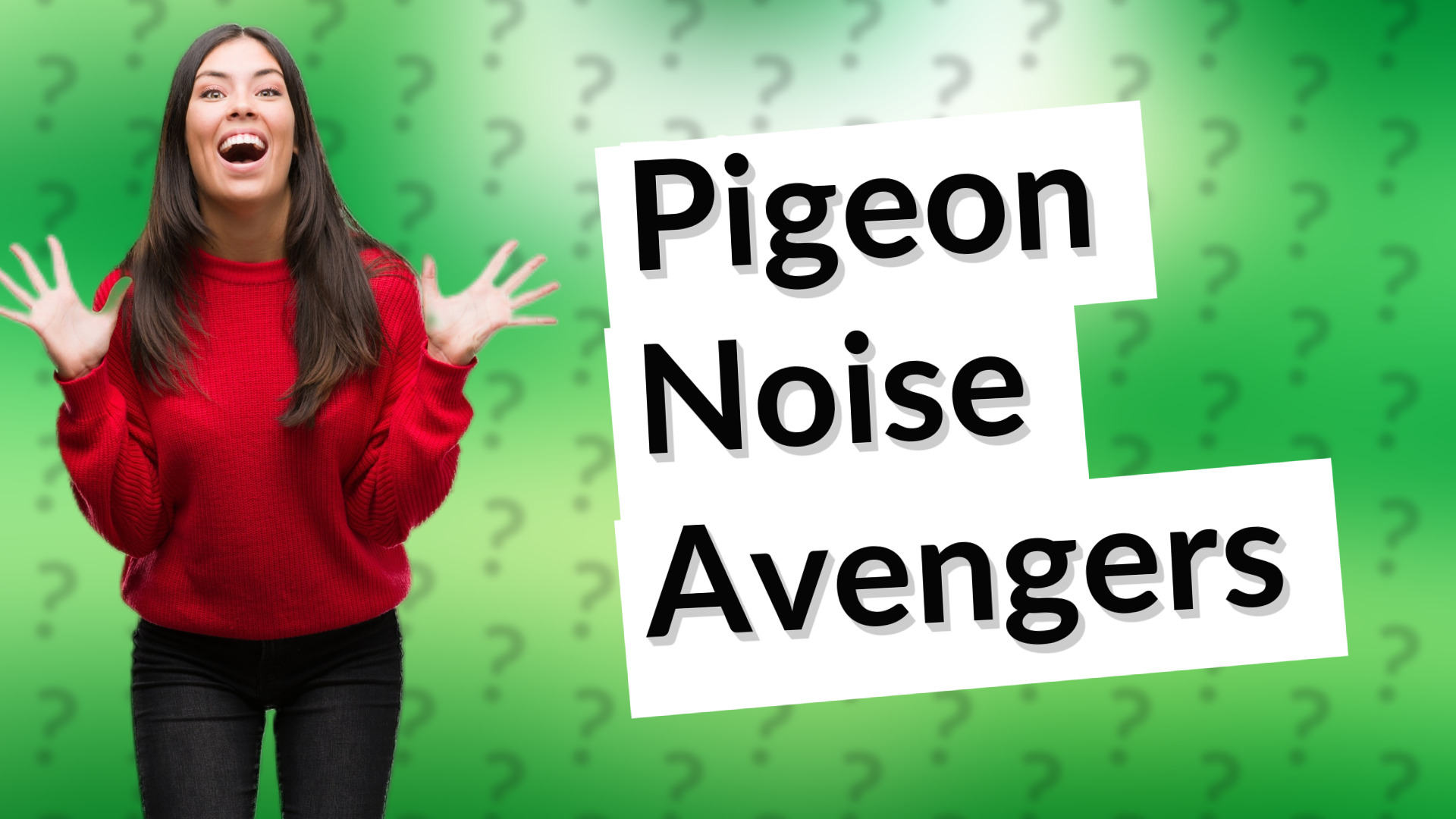 Pigeon Noise Avengers