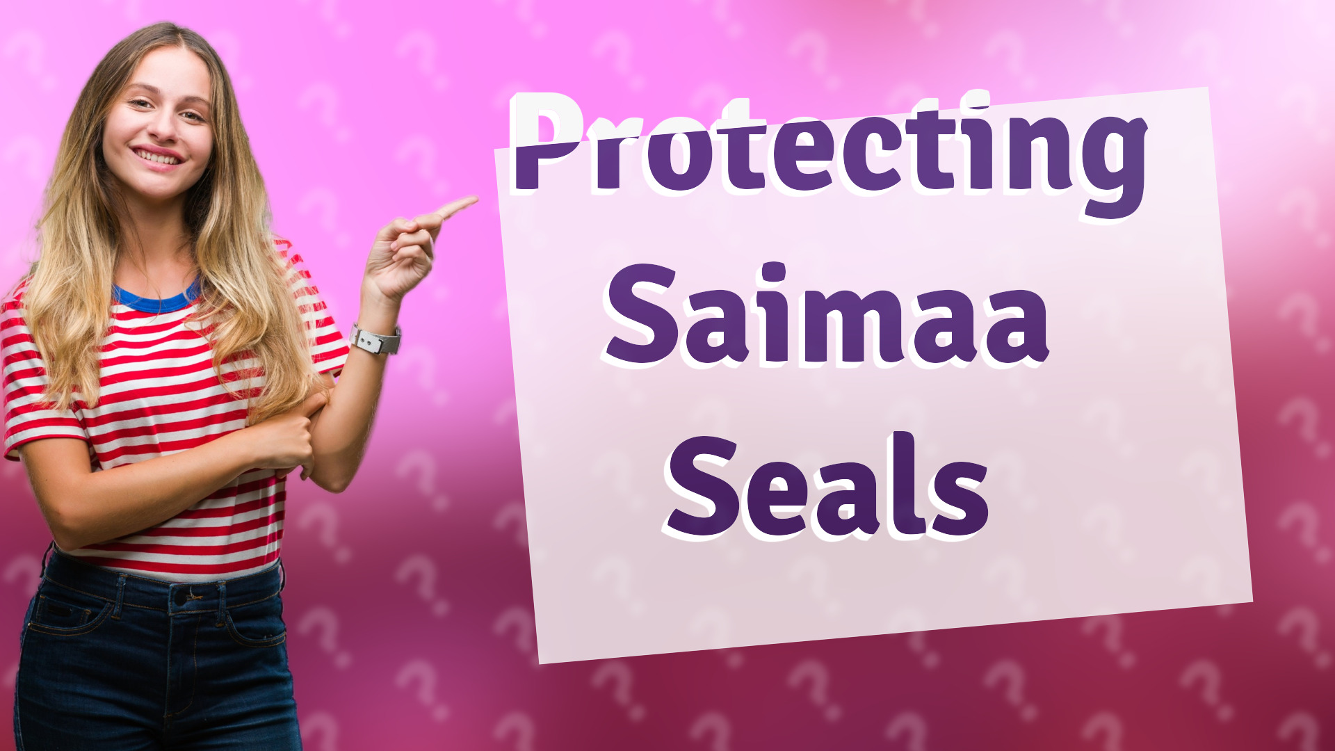 Protecting Saimaa Seals