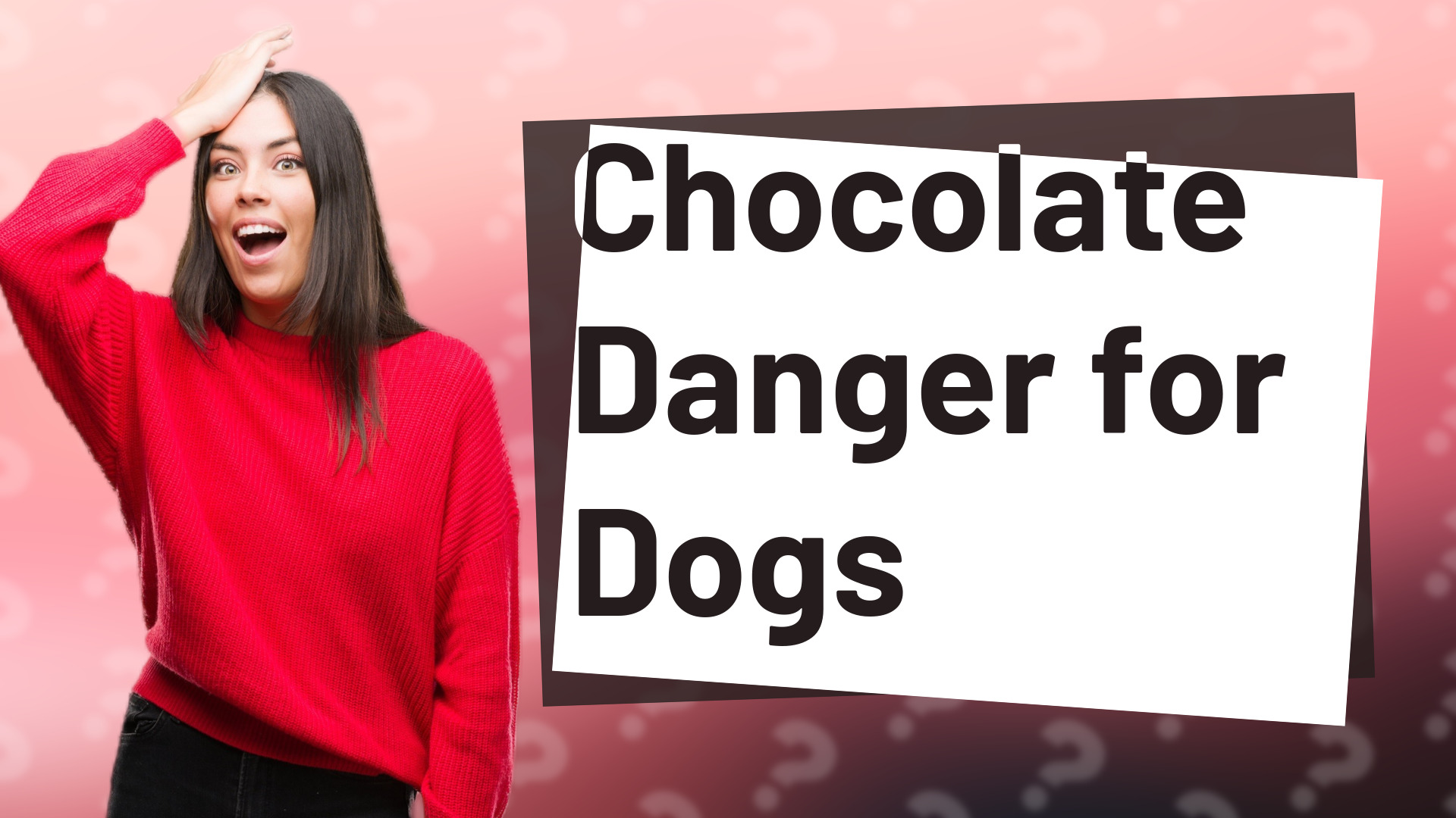 Chocolate Danger for Dogs