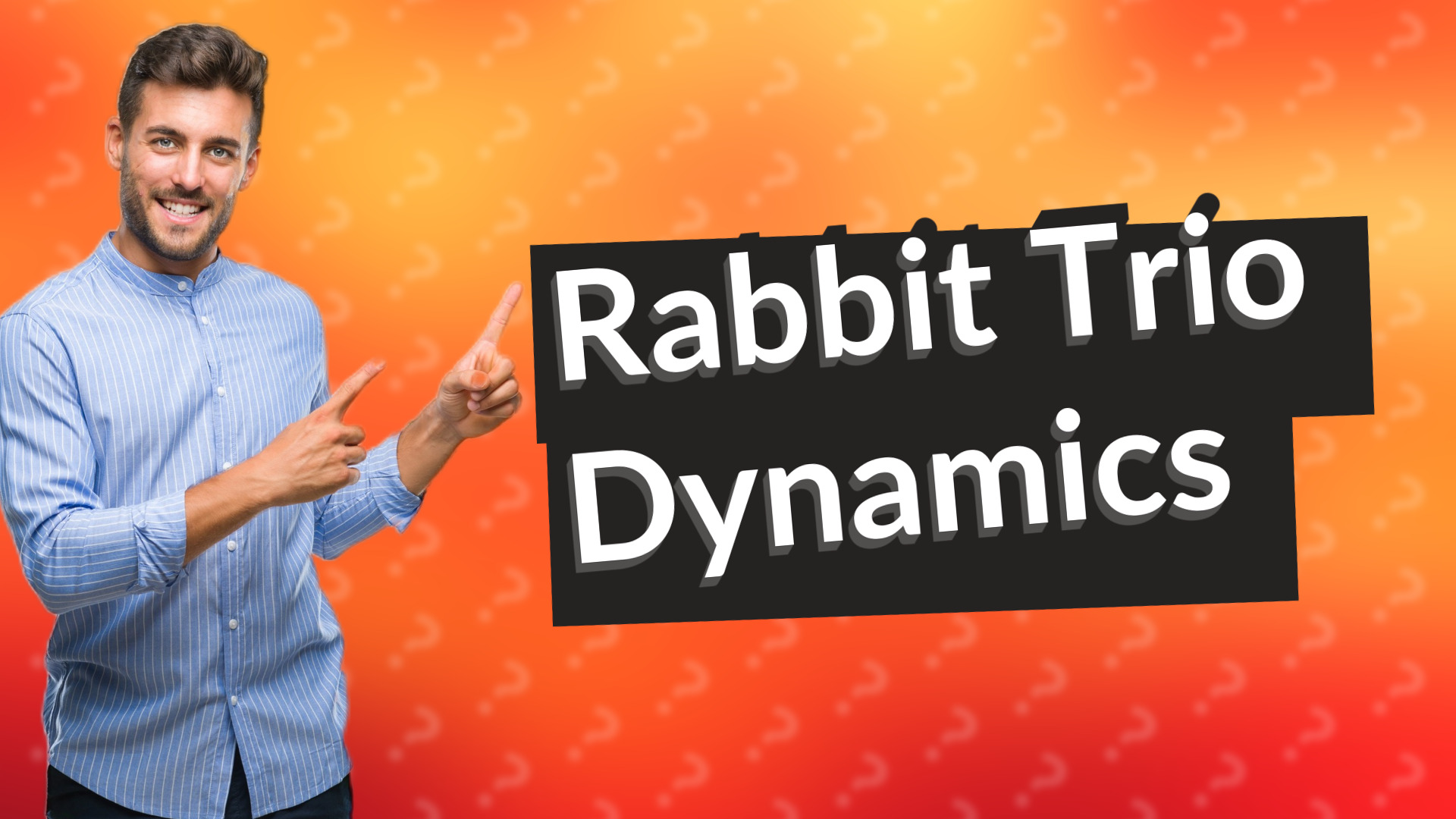 Rabbit Trio Dynamics