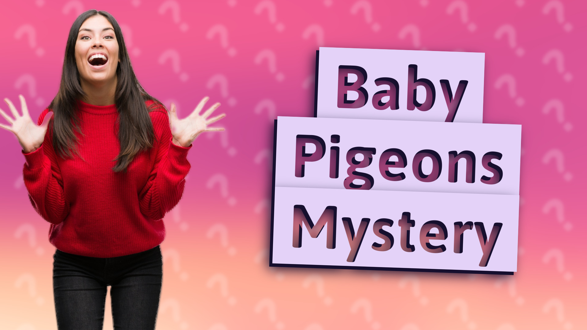 Baby Pigeons Mystery