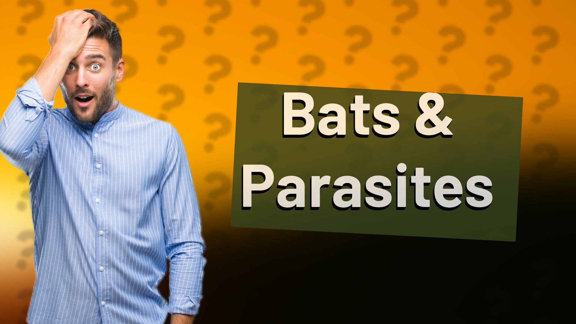 Bats & Parasites