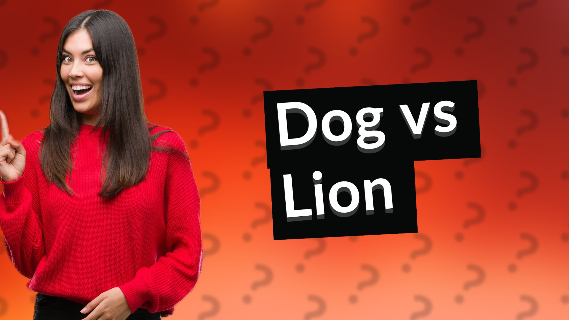 Dog vs Lion