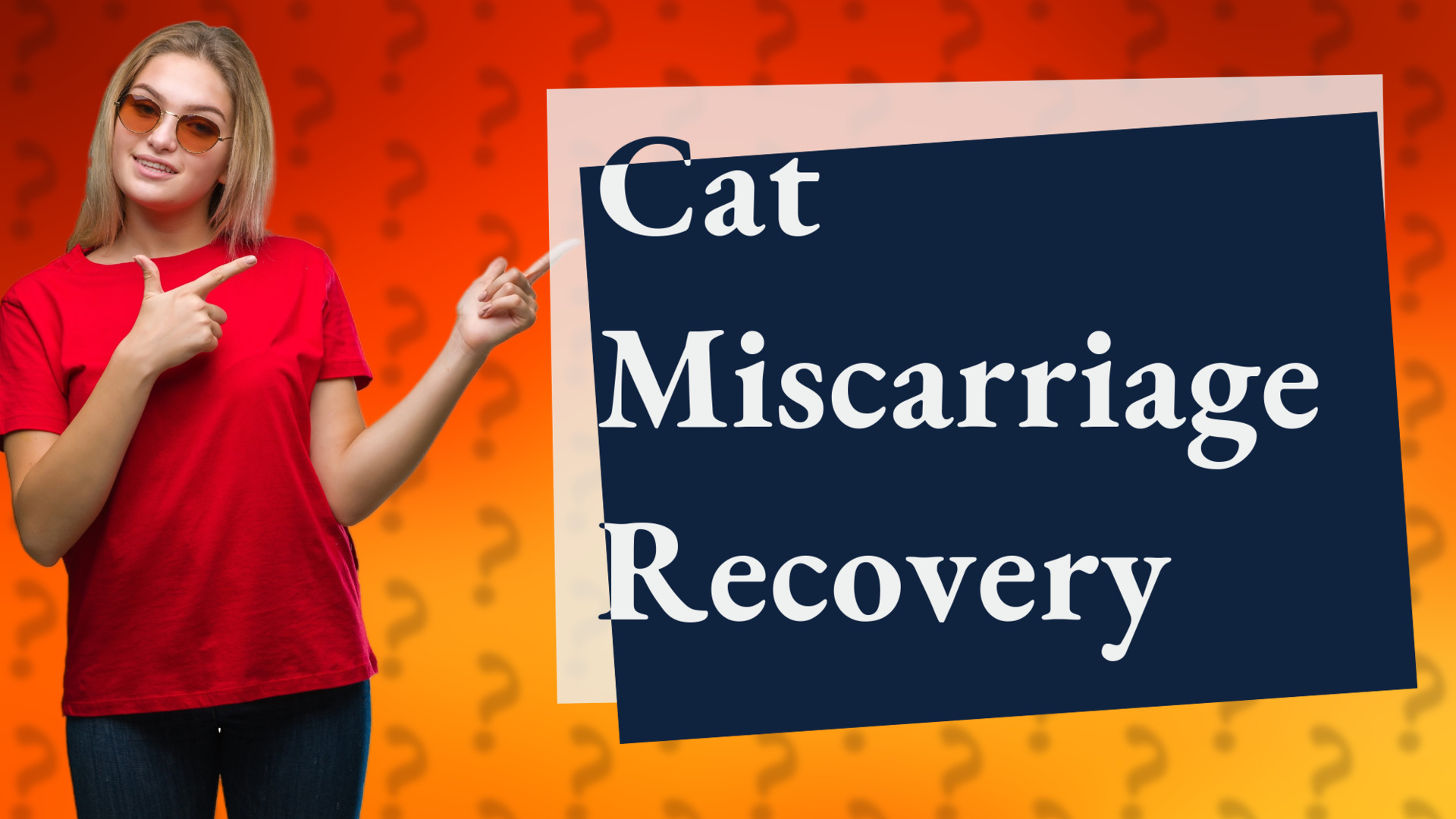 Cat Miscarriage Recovery