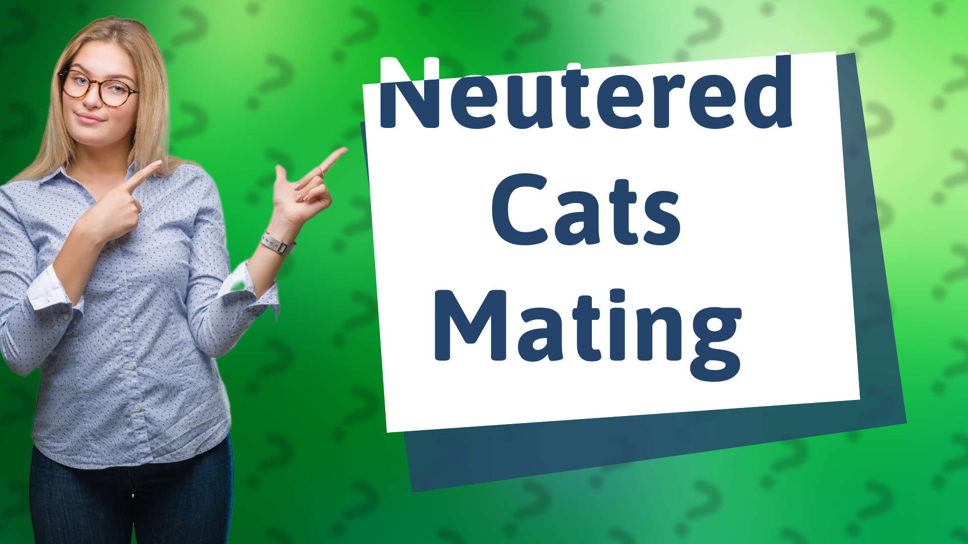 Neutered Cats Mating