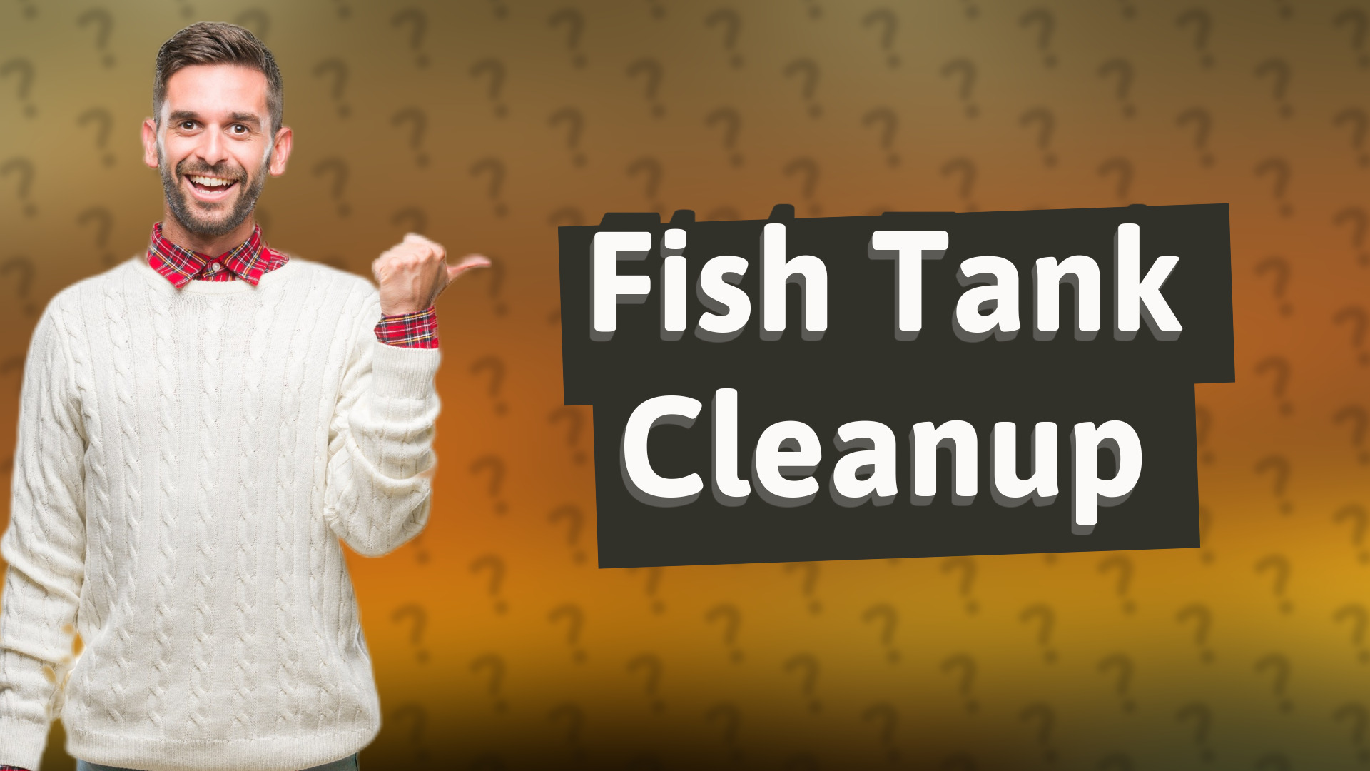 Fish Tank Cleanup