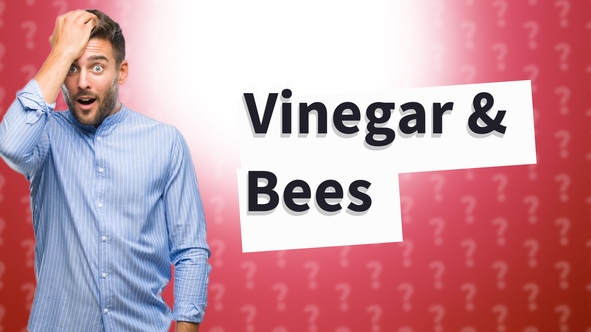 Vinegar & Bees