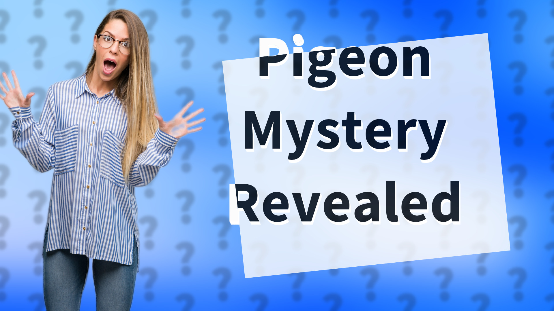 Pigeon Mystery Revealed