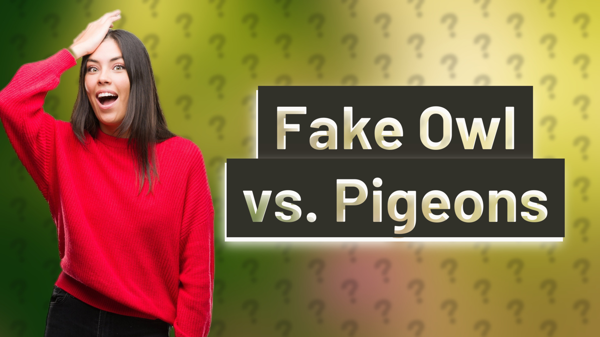 Fake Owl vs. Pigeons