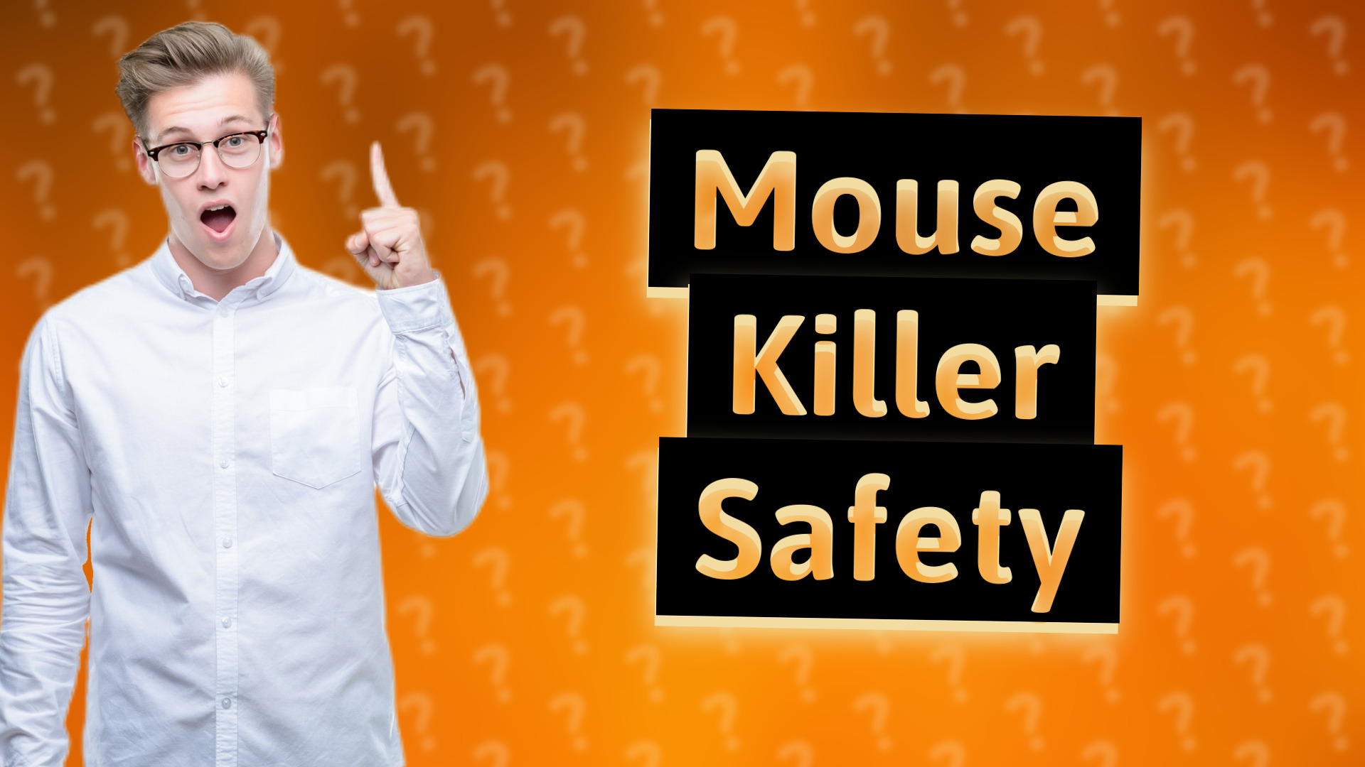 Mouse Killer Safety