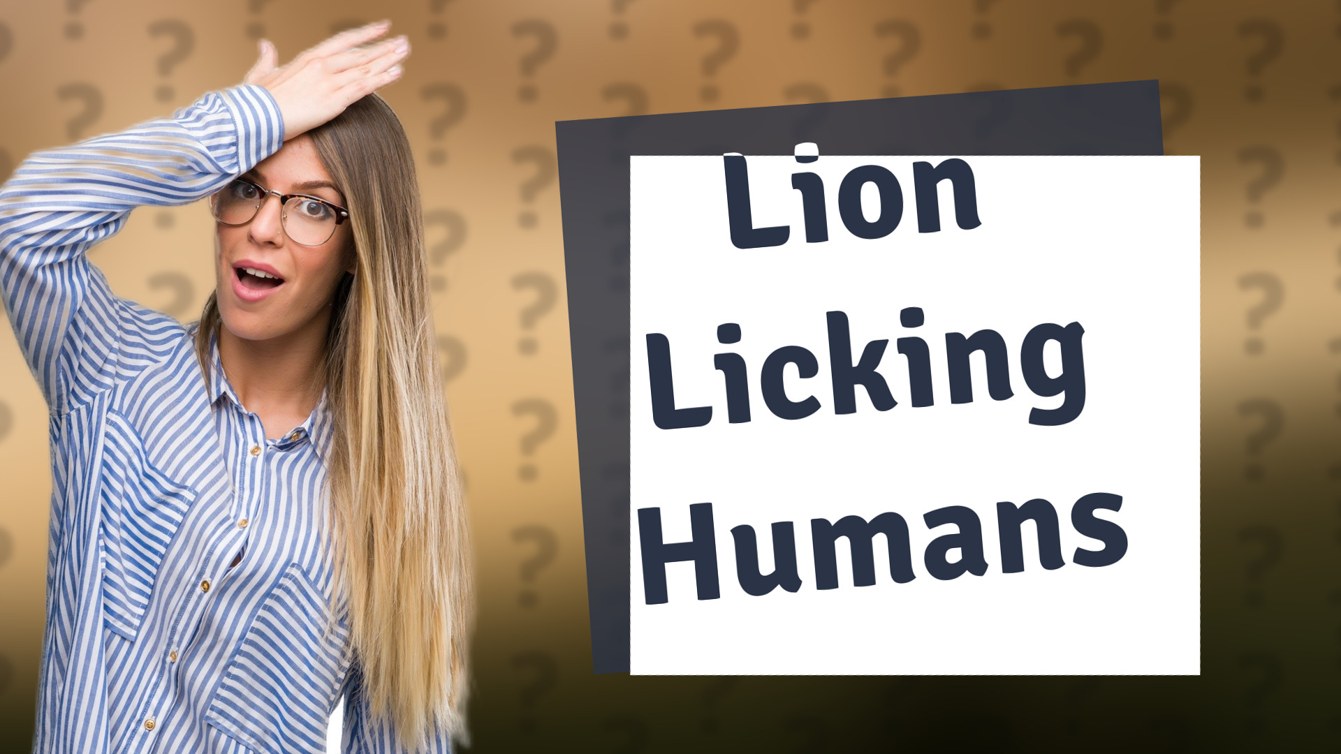 Lion Licking Humans