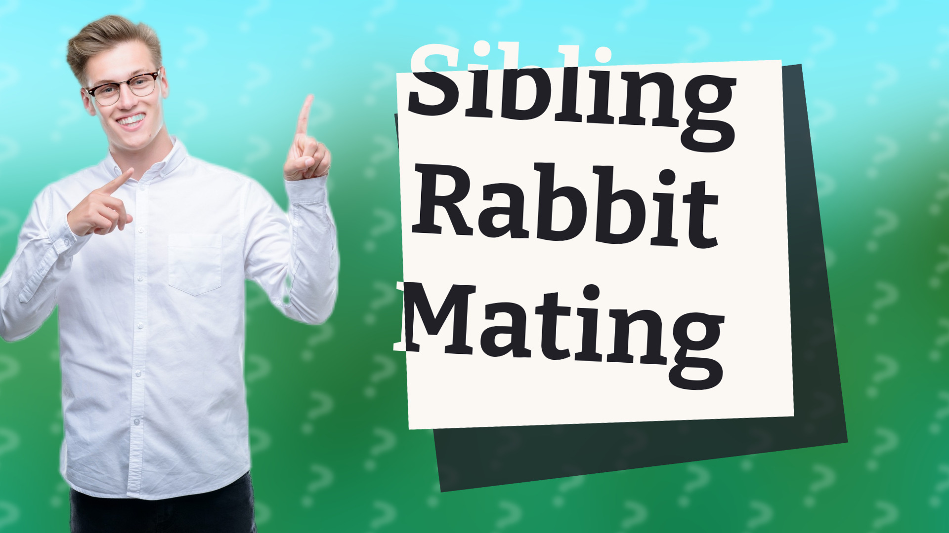 Sibling Rabbit Mating