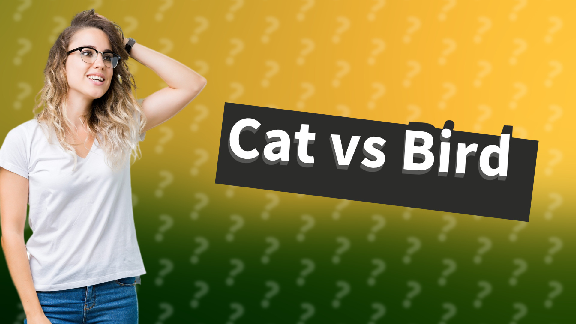 Cat vs Bird