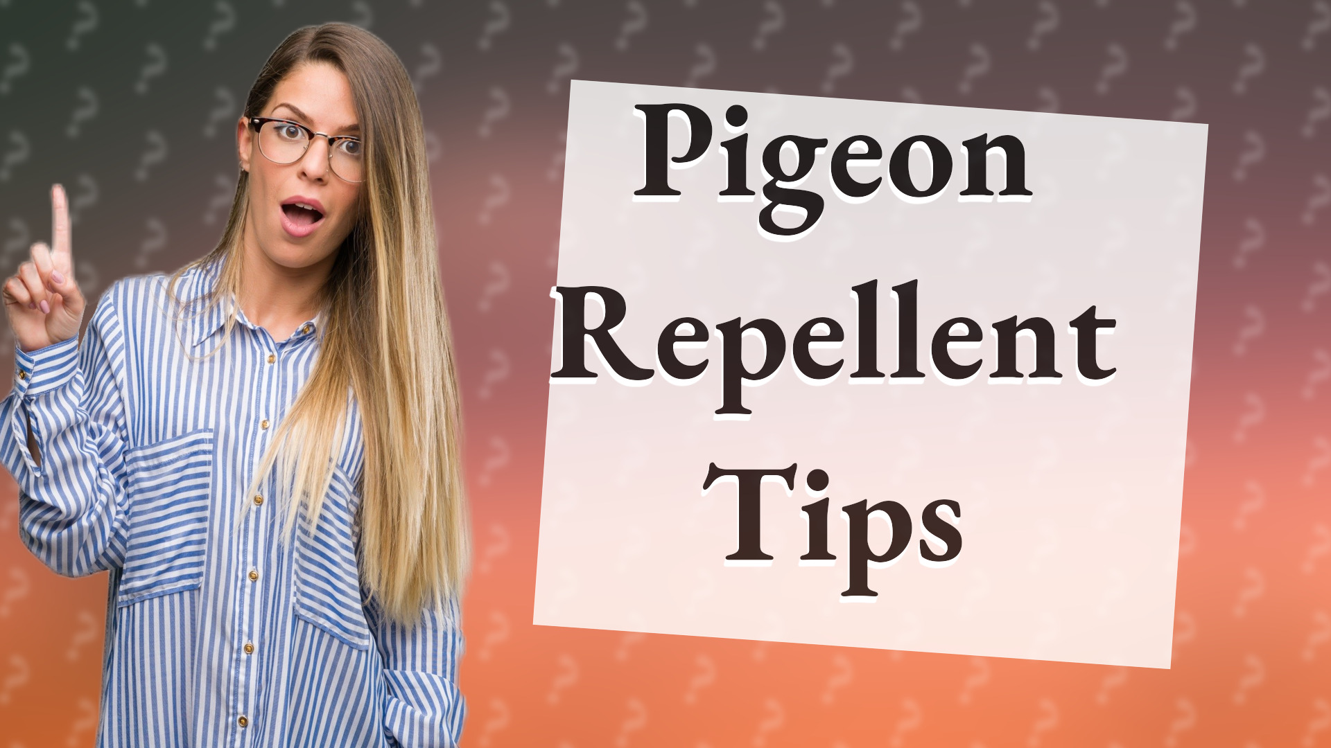 Pigeon Repellent Tips