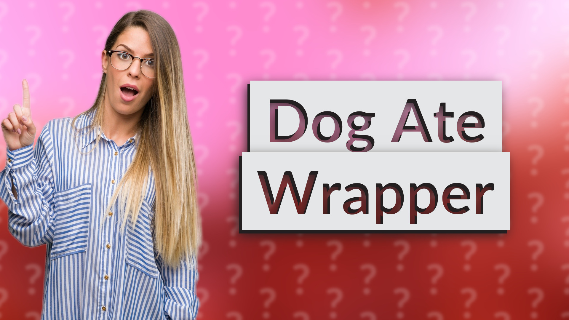 Dog Ate Wrapper