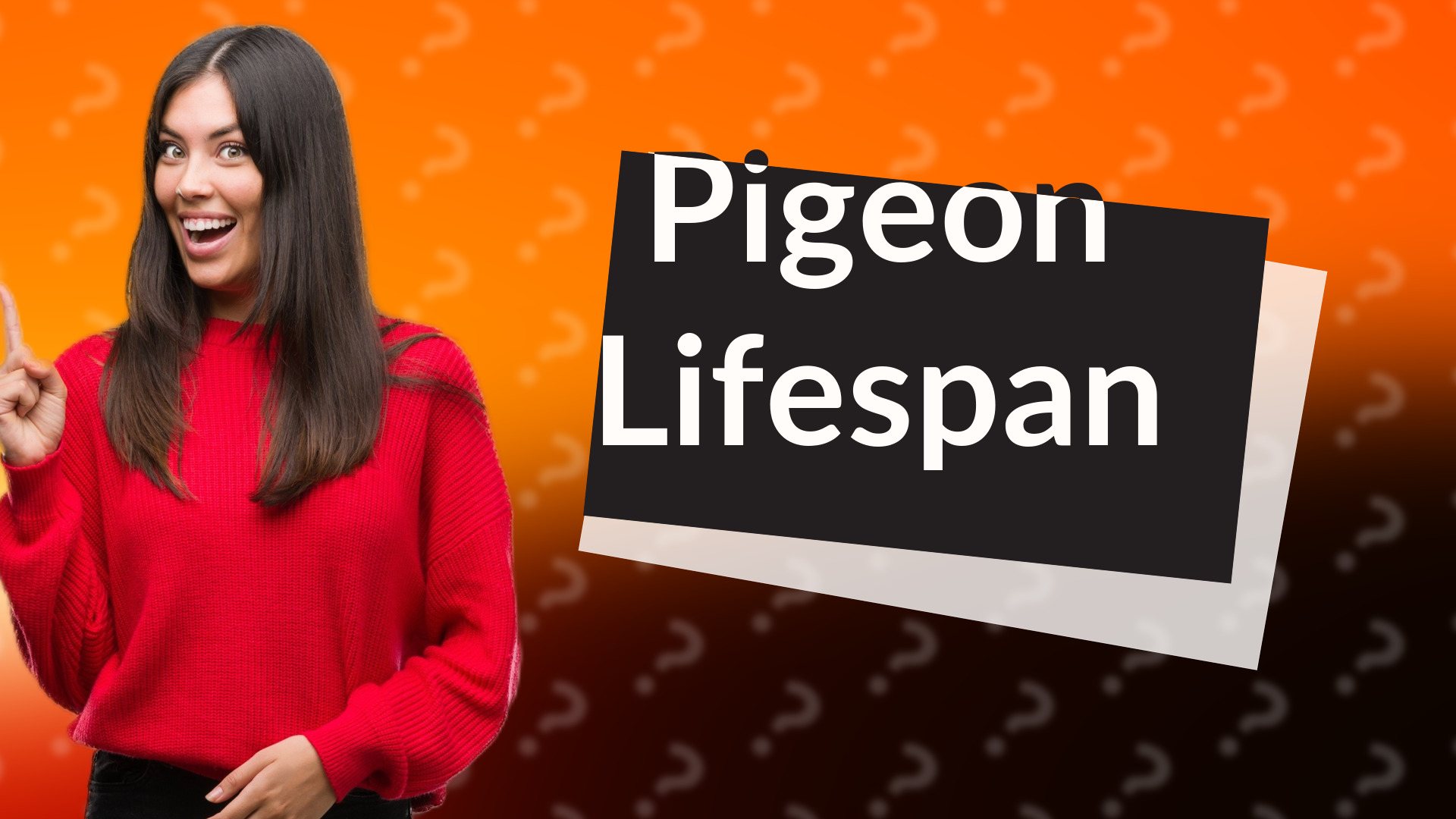 Pigeon Lifespan