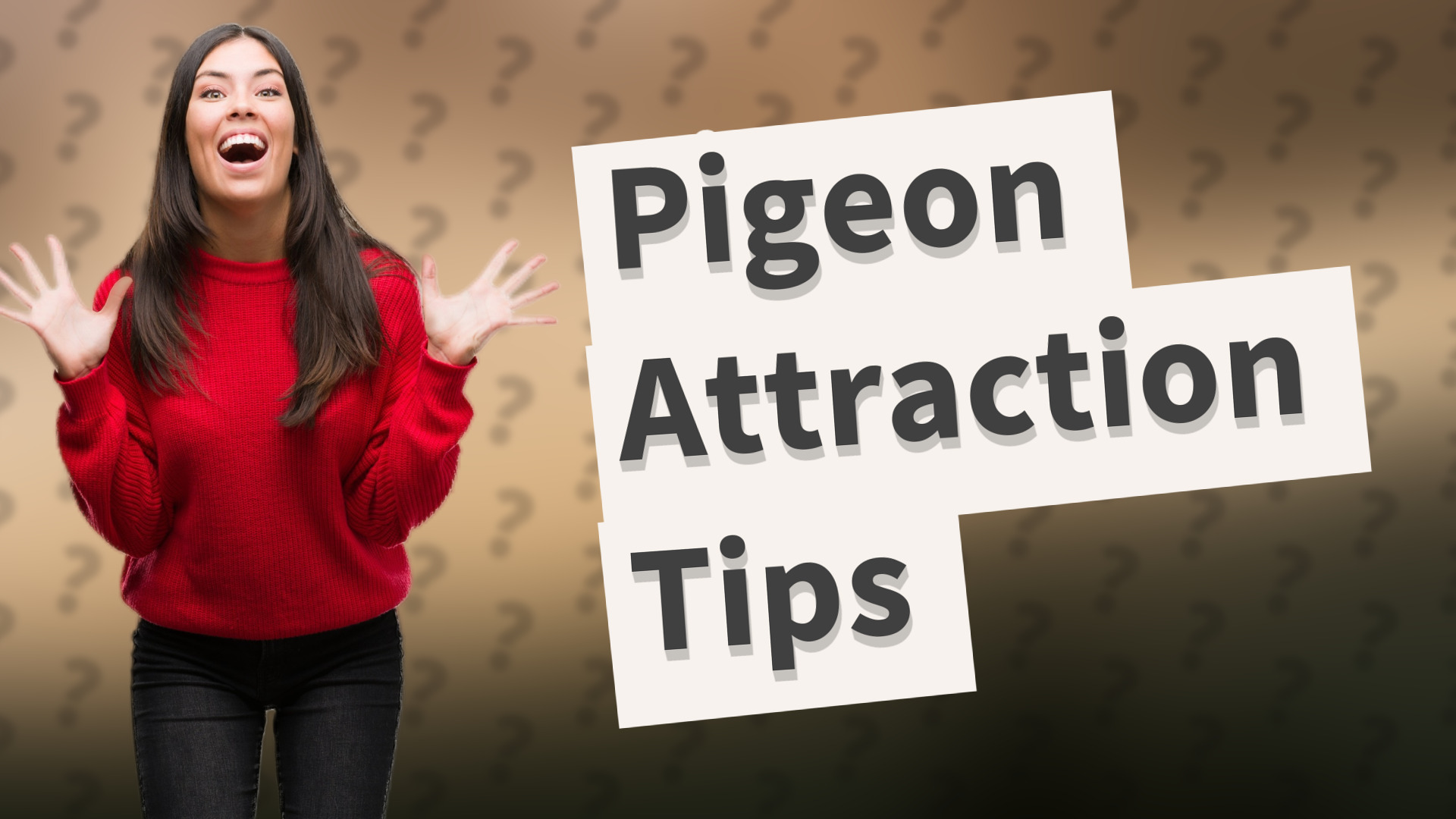 Pigeon Attraction Tips