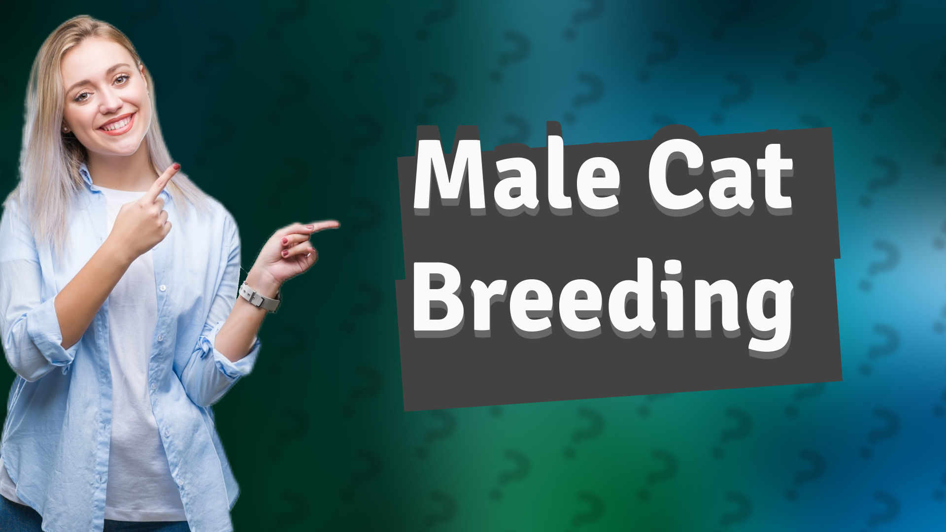 Male Cat Breeding