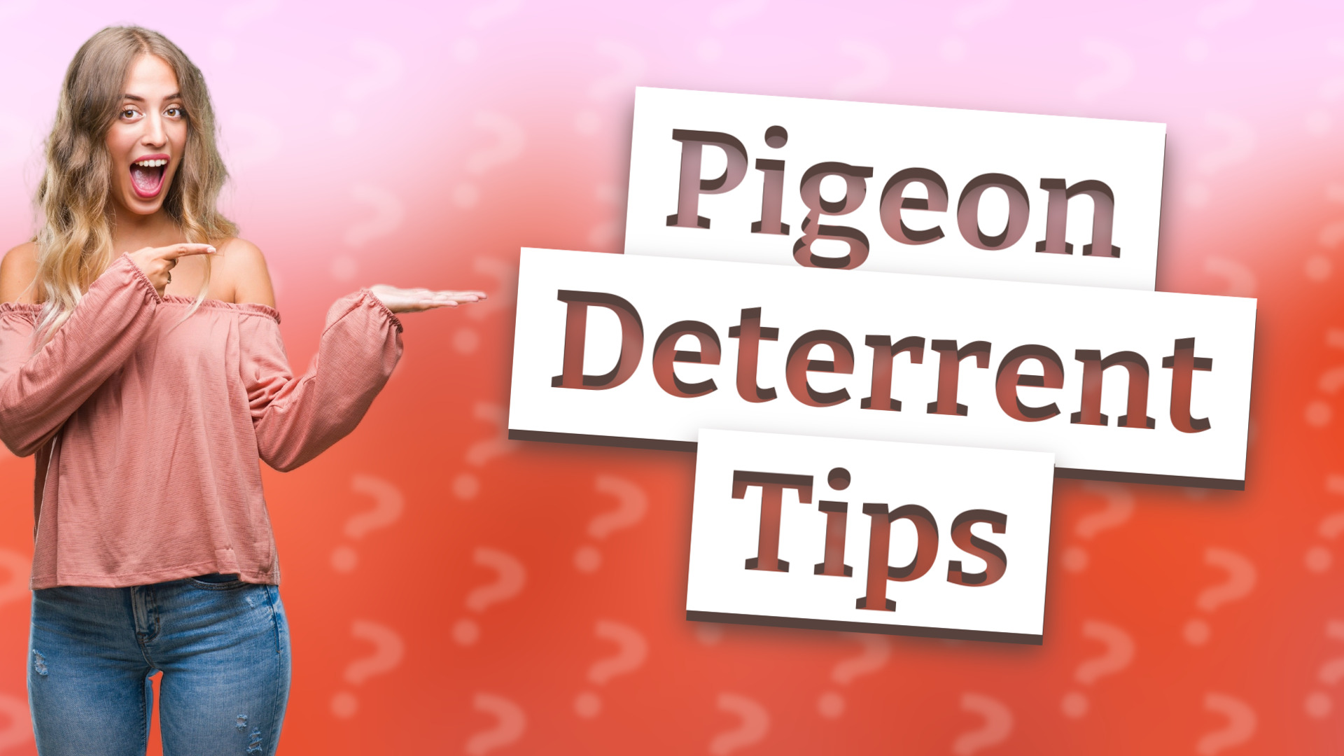 Pigeon Deterrent Tips