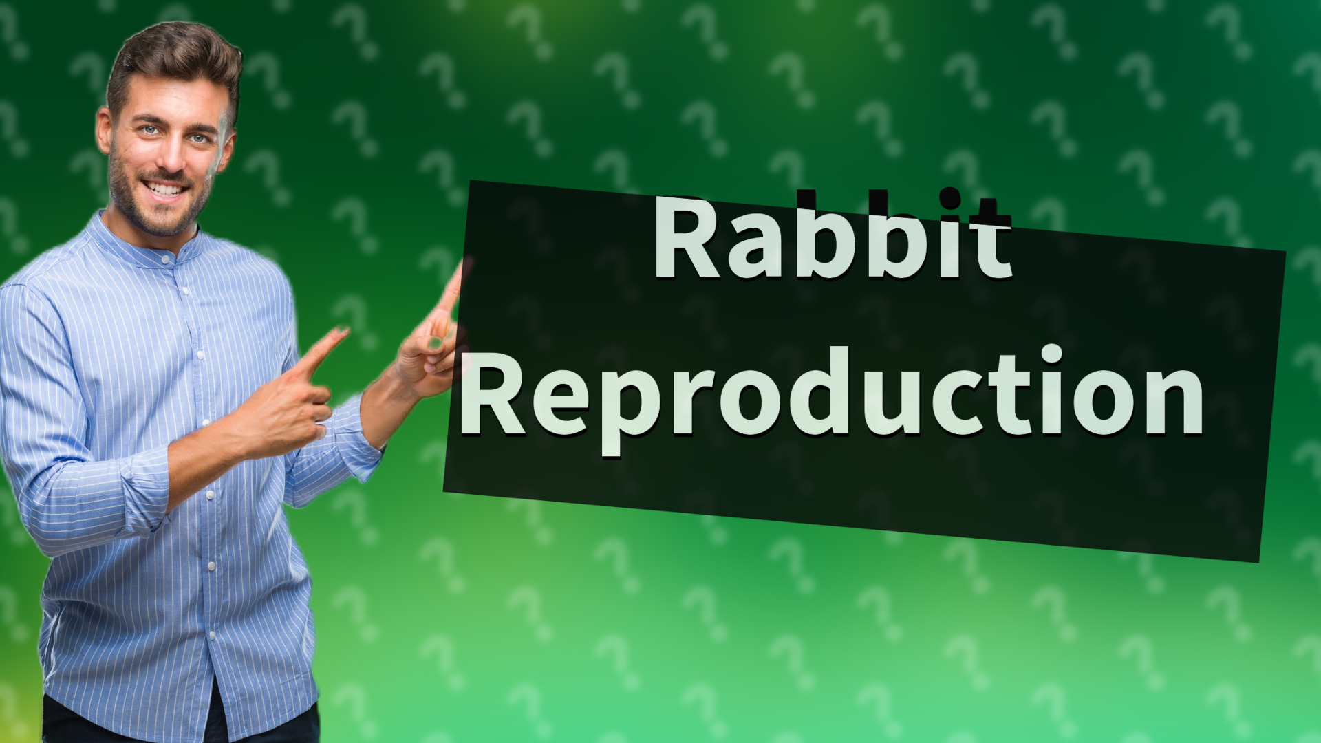 Rabbit Reproduction