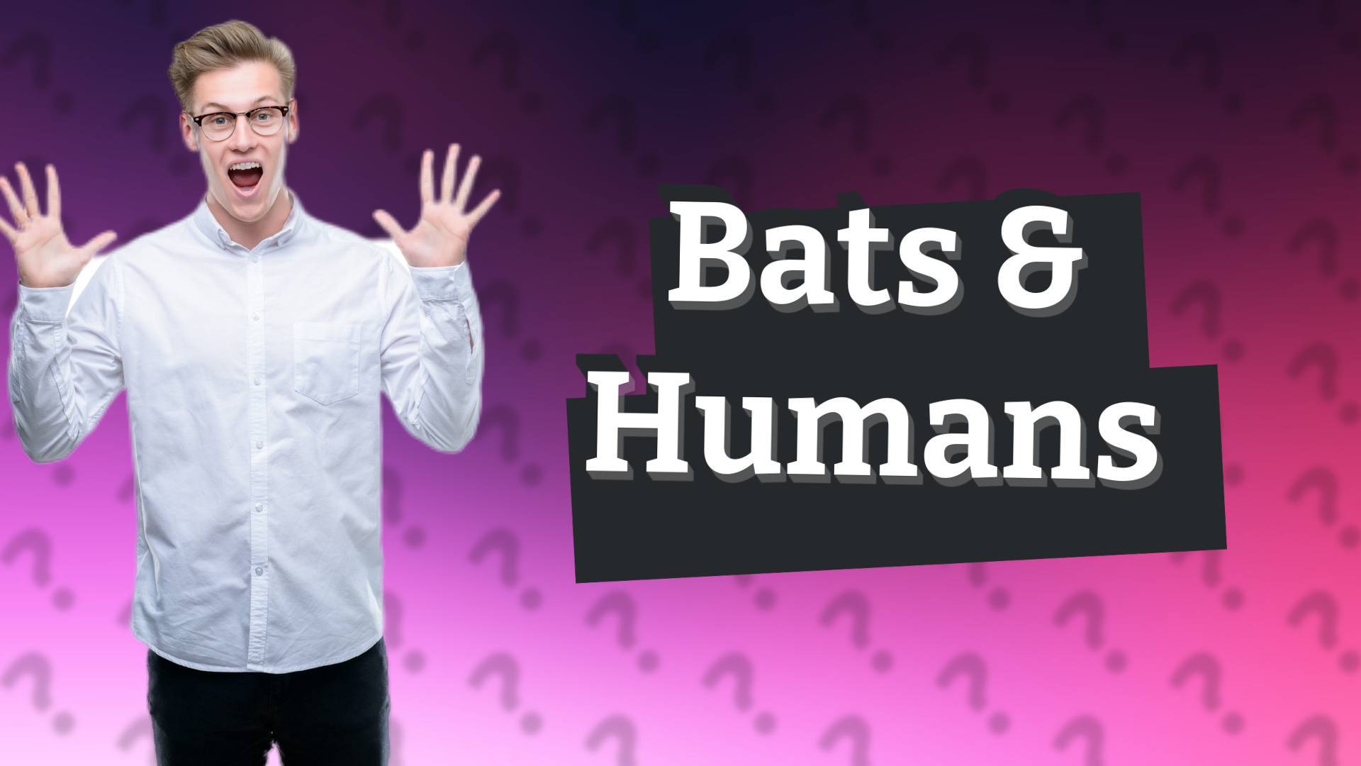 Bats & Humans